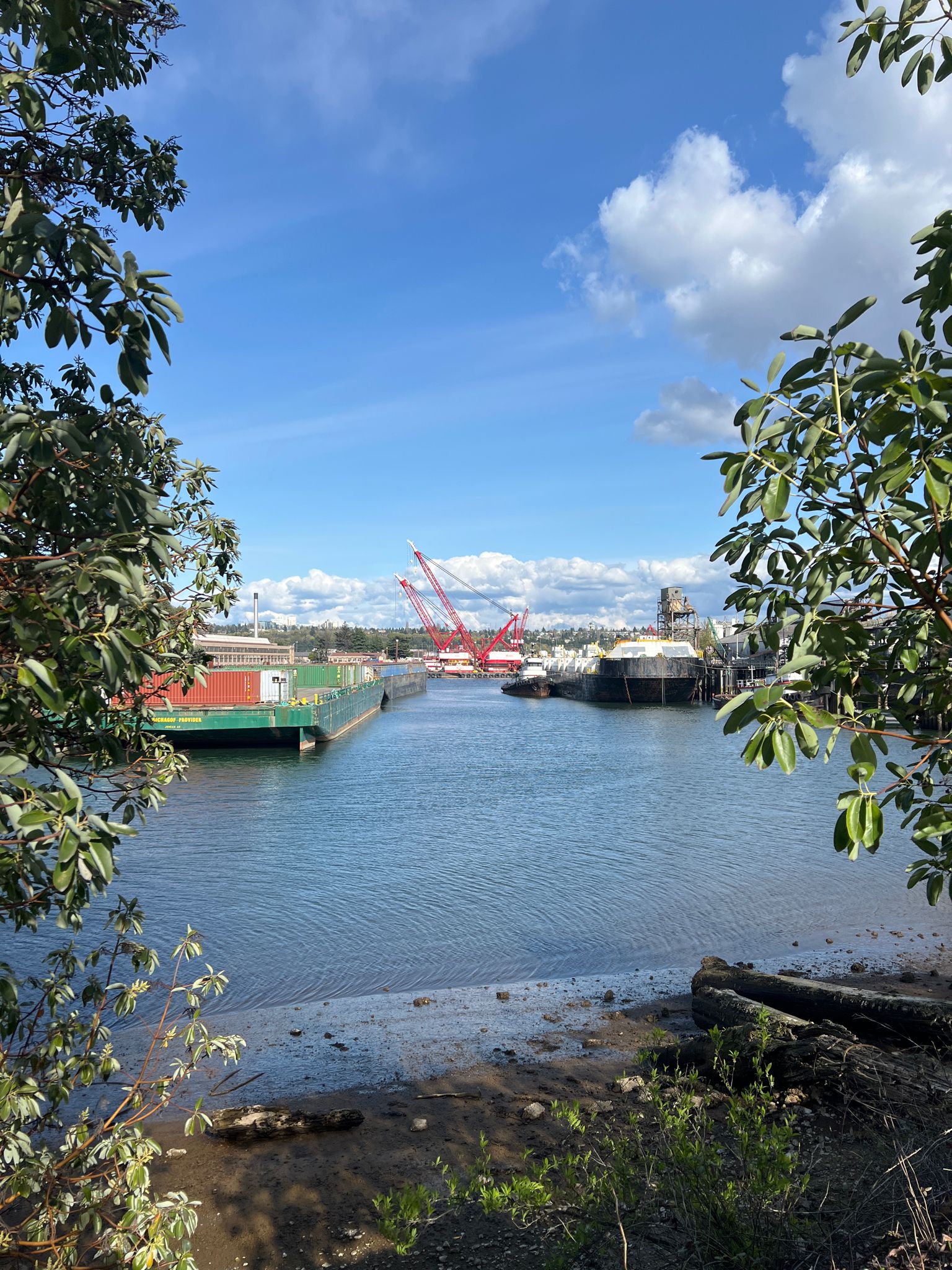 An industrial waterway with barges and cranes, framed by green trees. - Duwamish River loop from White Center