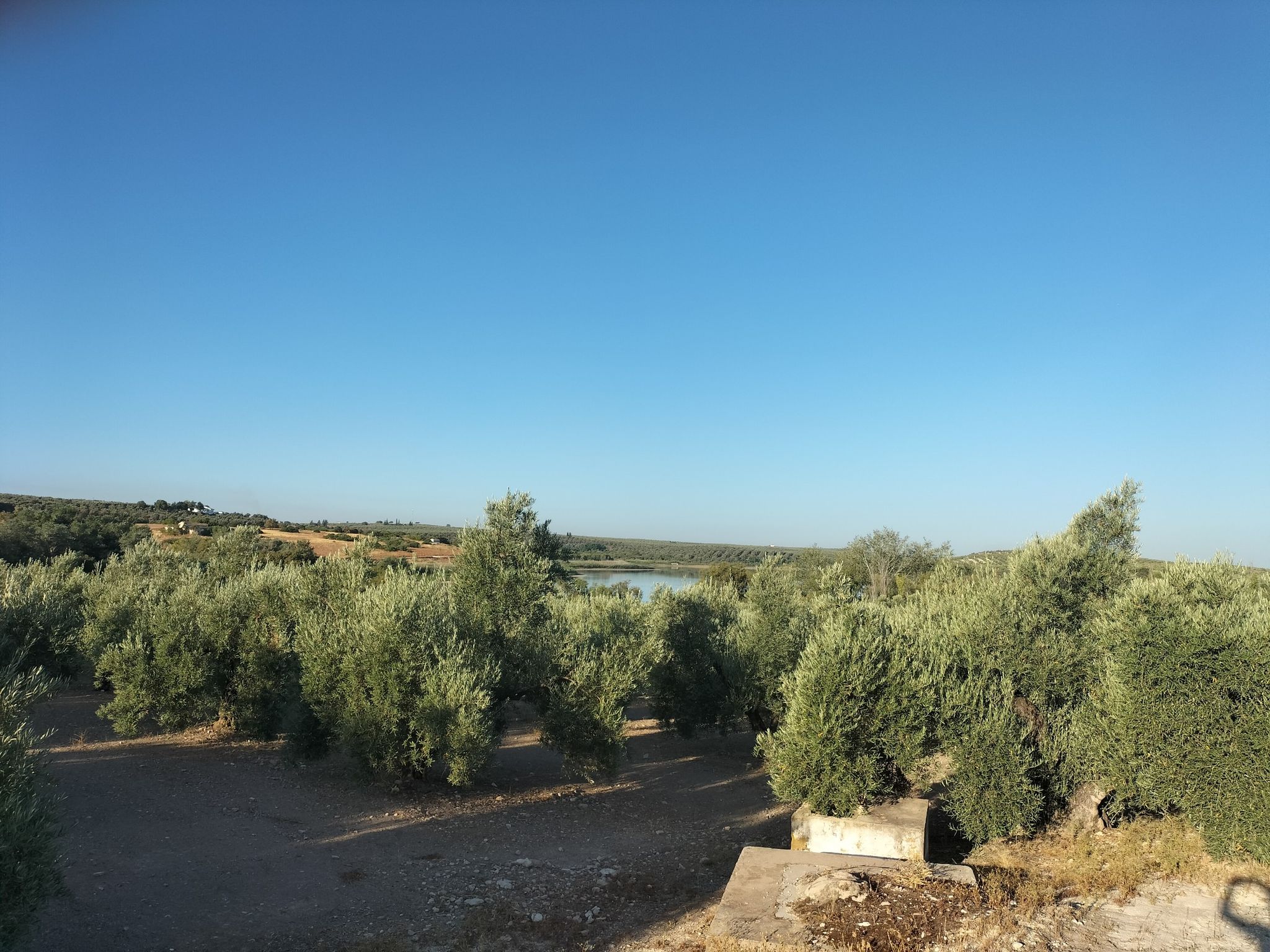 Laguna Zoñar