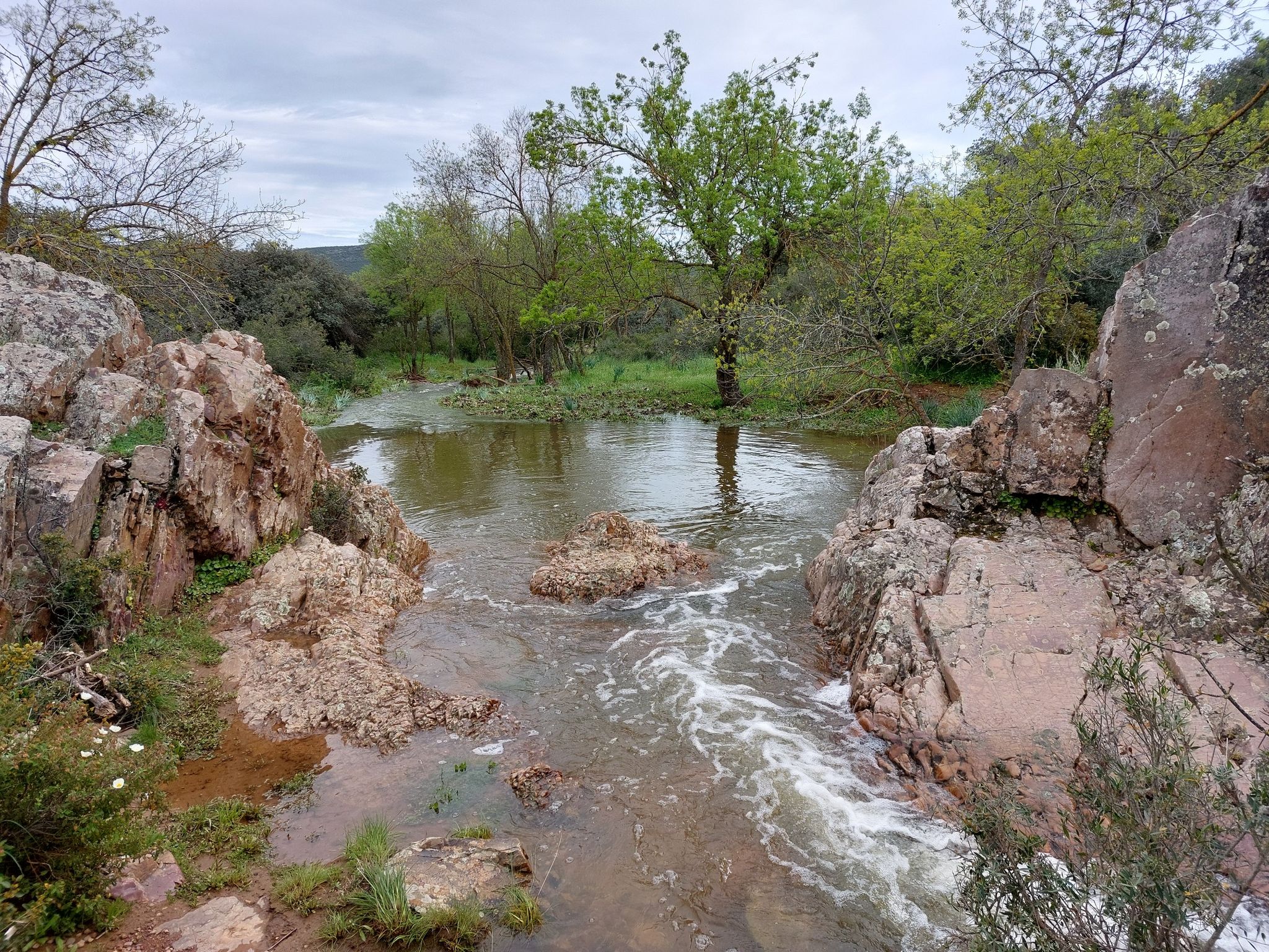 El Molinillo