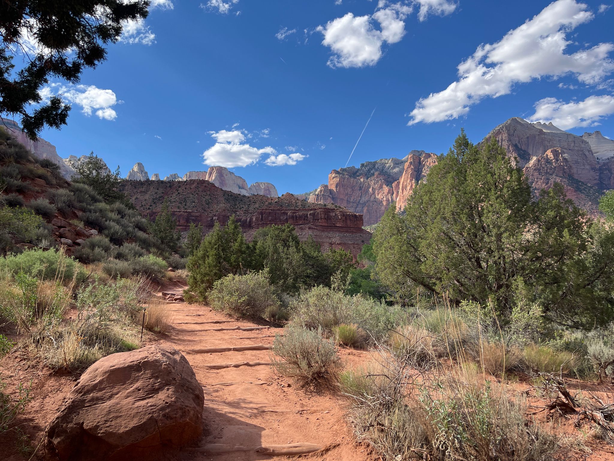 A dirt path with steps winds through green bushes towards distant red rock cliffs. - Watchman Trailhead – Zion National Park loop from Zion Human History Museum