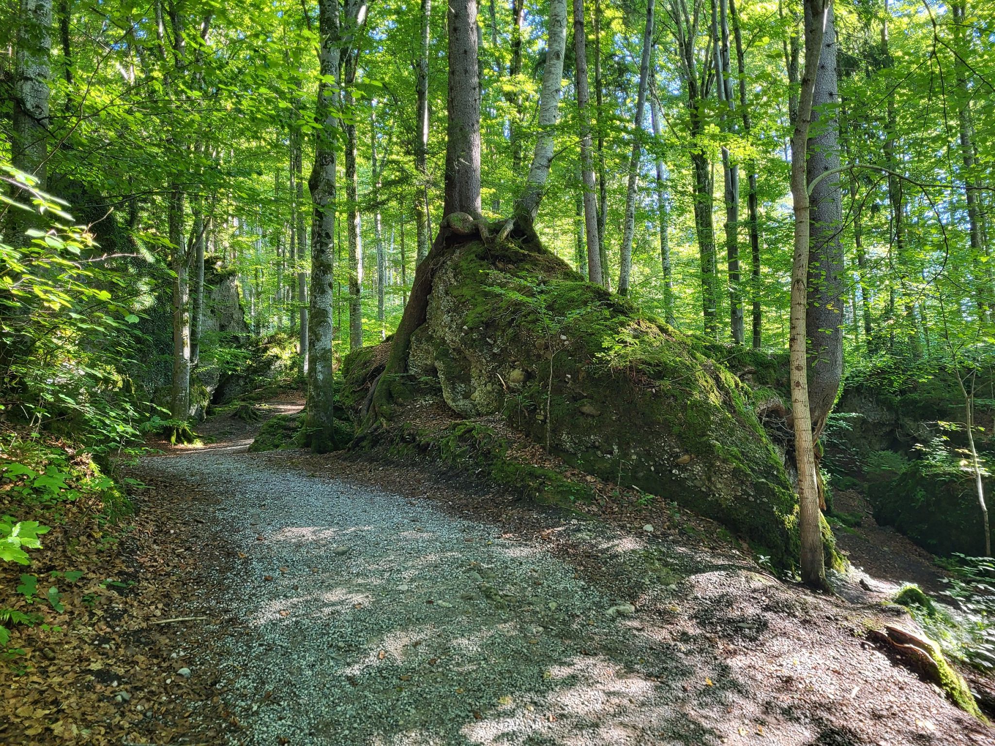 erste Steinformationen der Teufelsküche