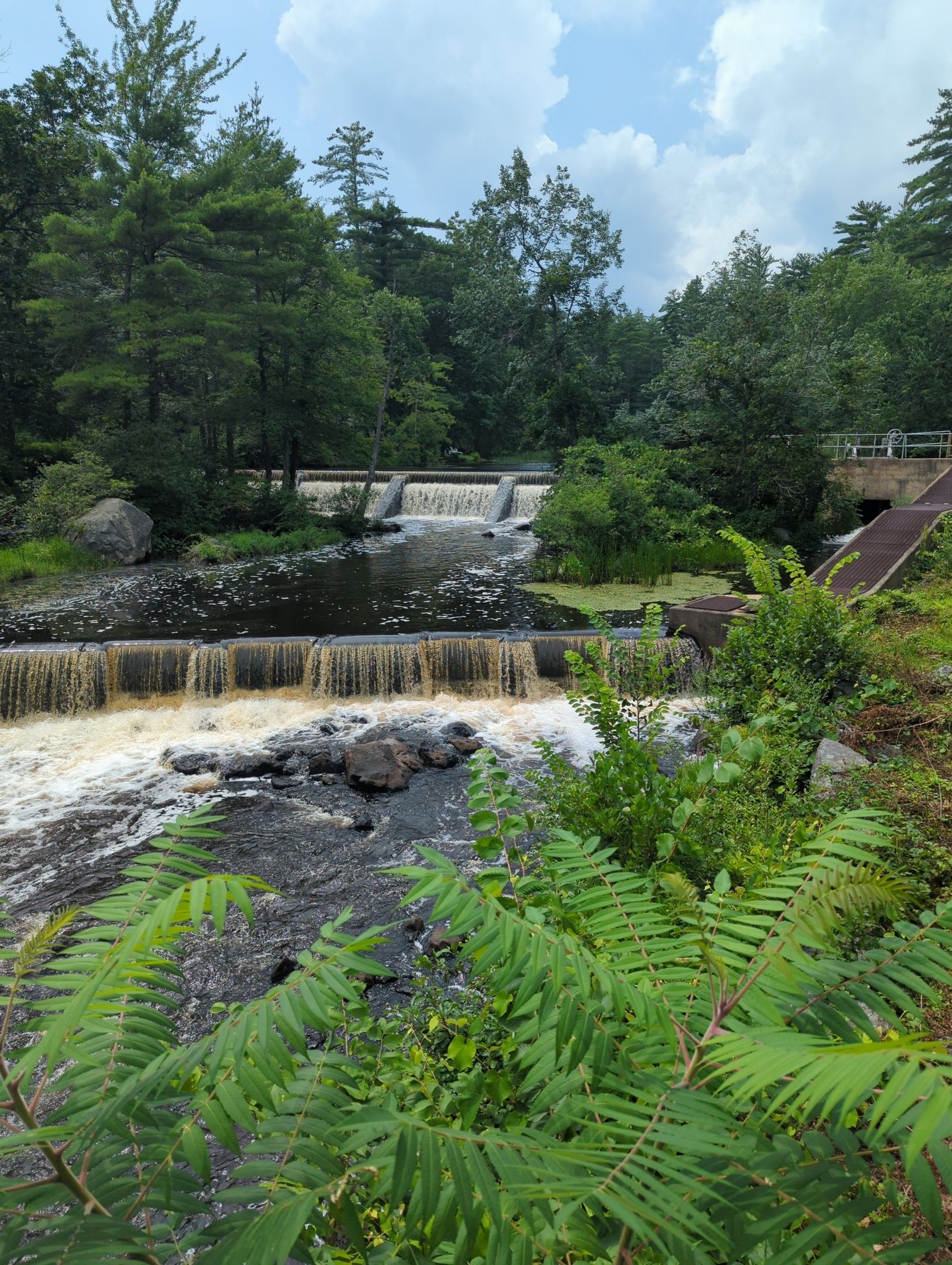River flowing over multiple small dams, surrounded by lush green trees under a cloudy sky. - Exeter River via Kingston Road loop