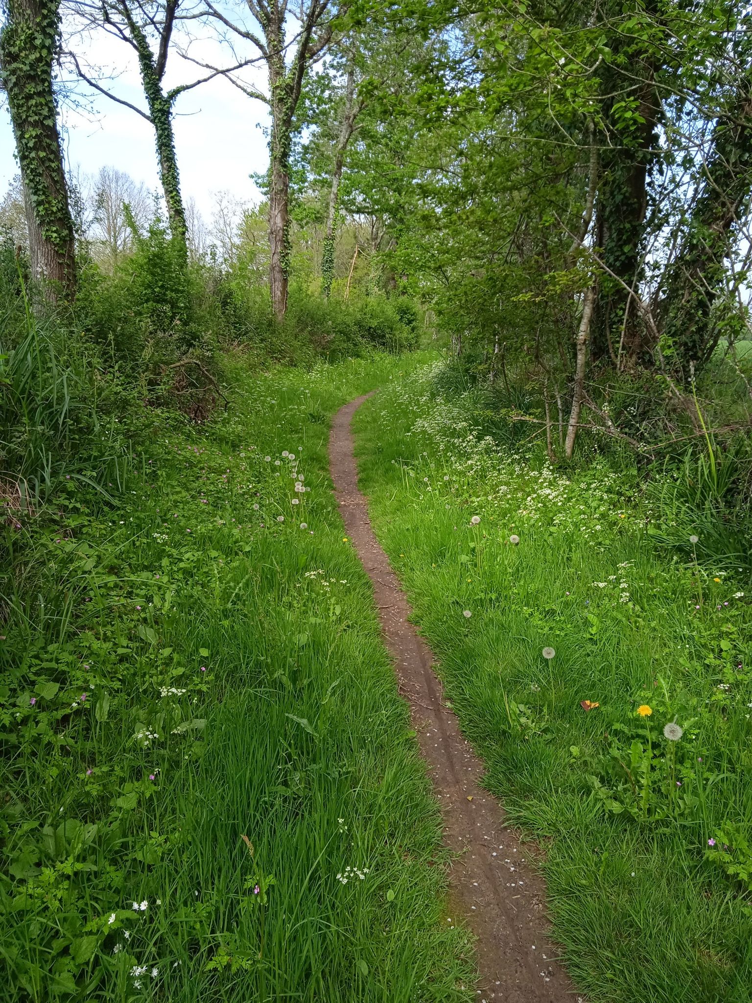 Vers Dompierre