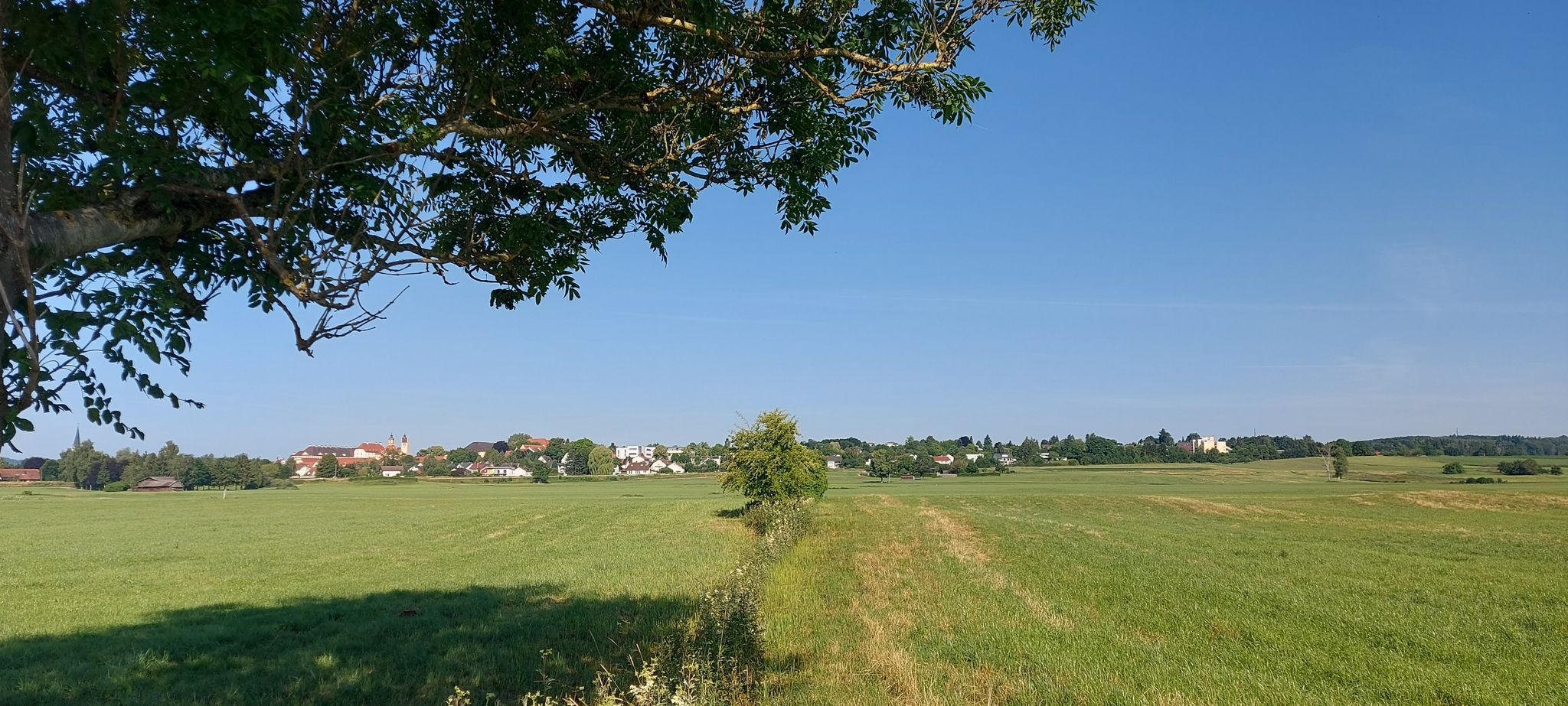 Blick Richtung Altshausen