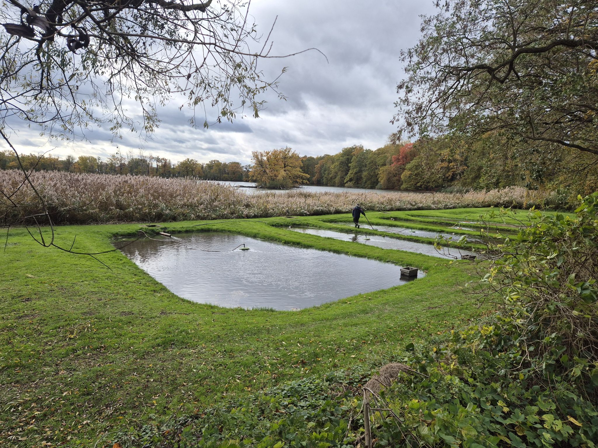 Fischerbecken Riddagshausen
