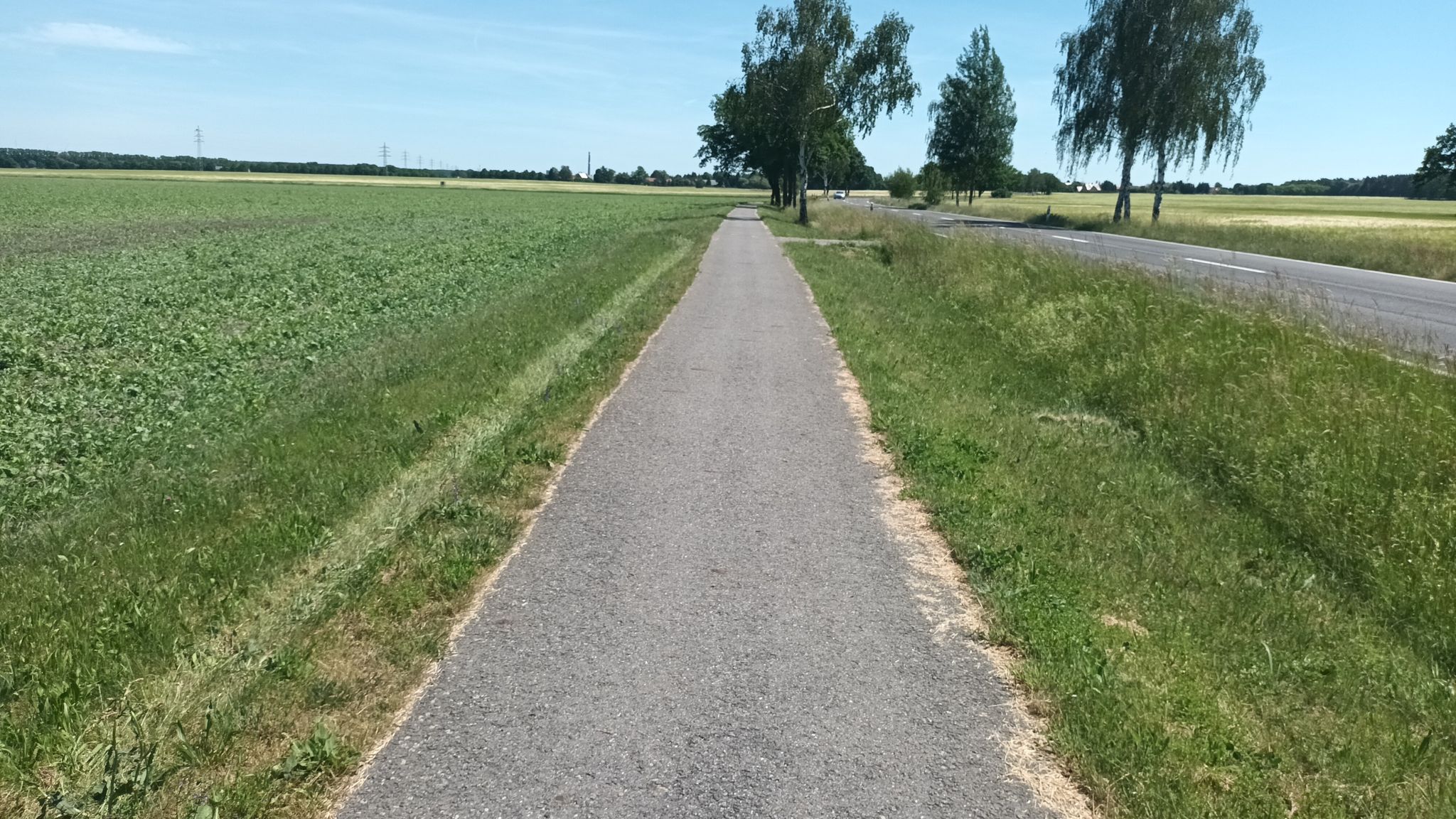 von Wormlage nach Saalhausen