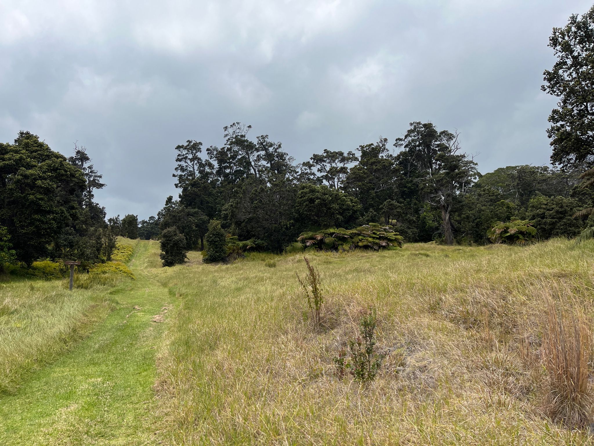 A mowed path winds through a grassy field under a cloudy sky. - Glover Trail Loop — Kahuku Unit