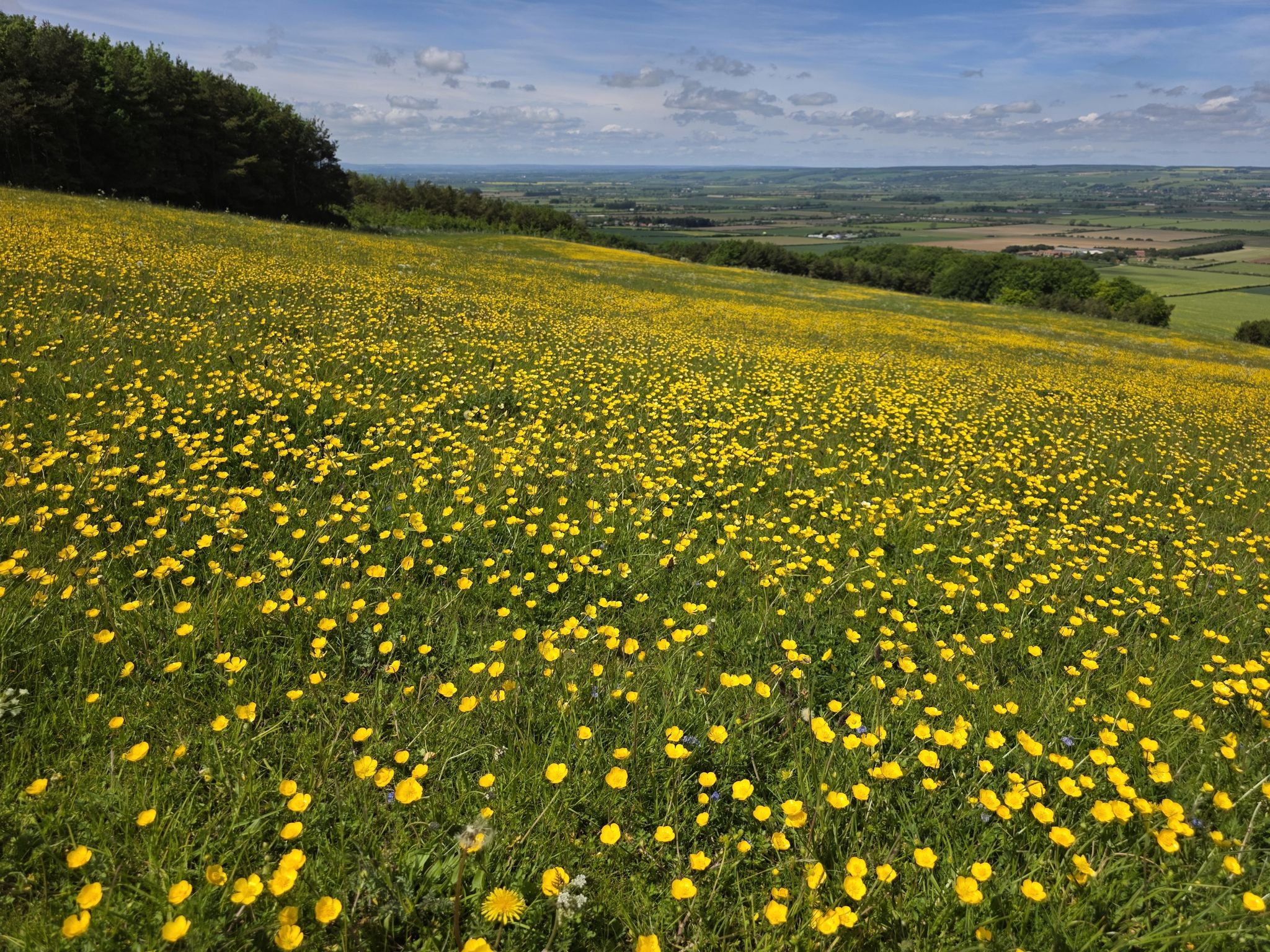 View down from Wolds towards East Heslerton