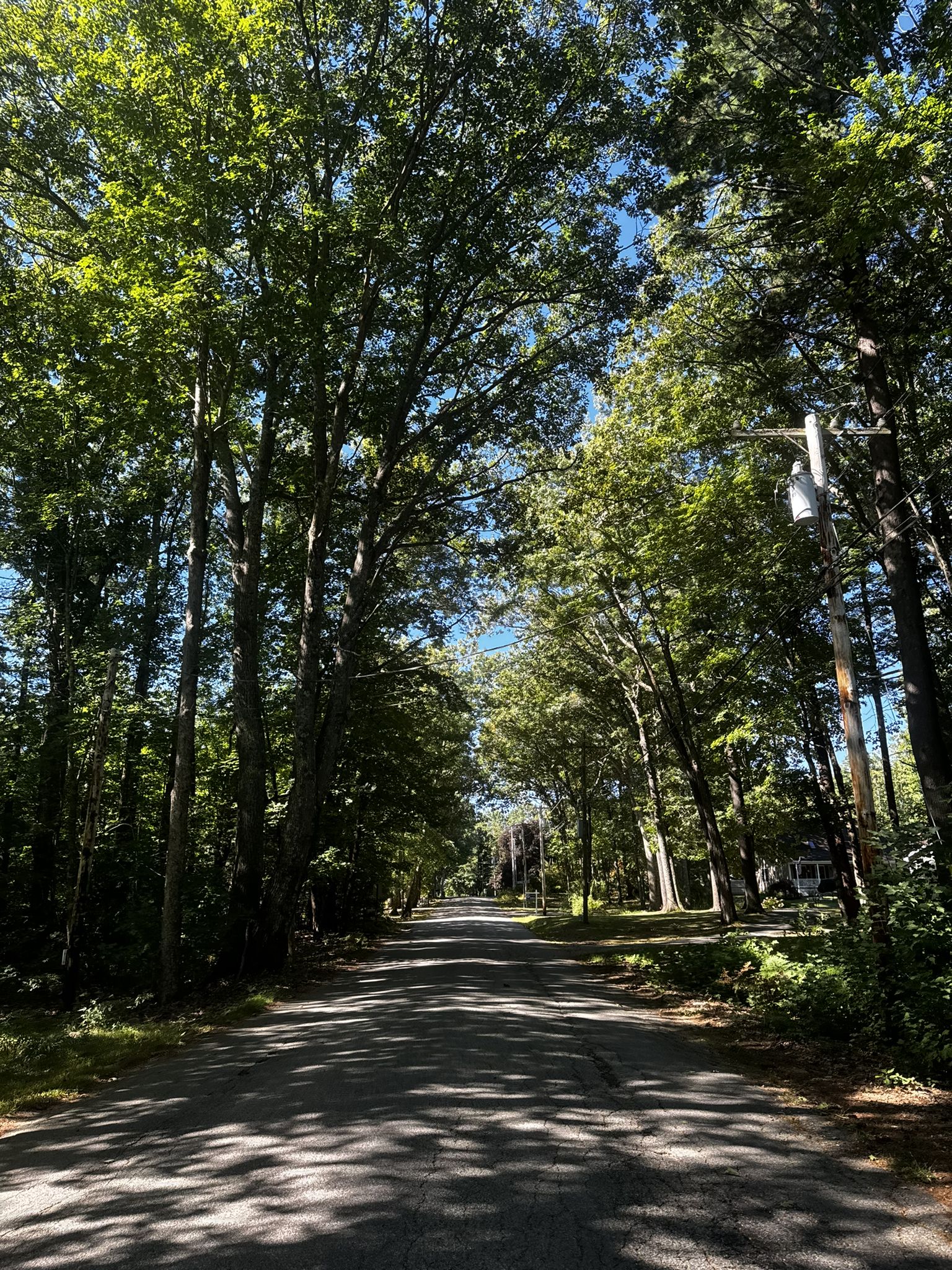 A sunny, tree-lined paved road with dappled light and shadows. - Surfside Beach – Old Orchard Beach loop from Mobil Donation