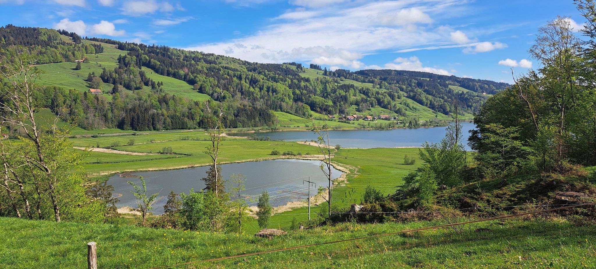 Alpsee