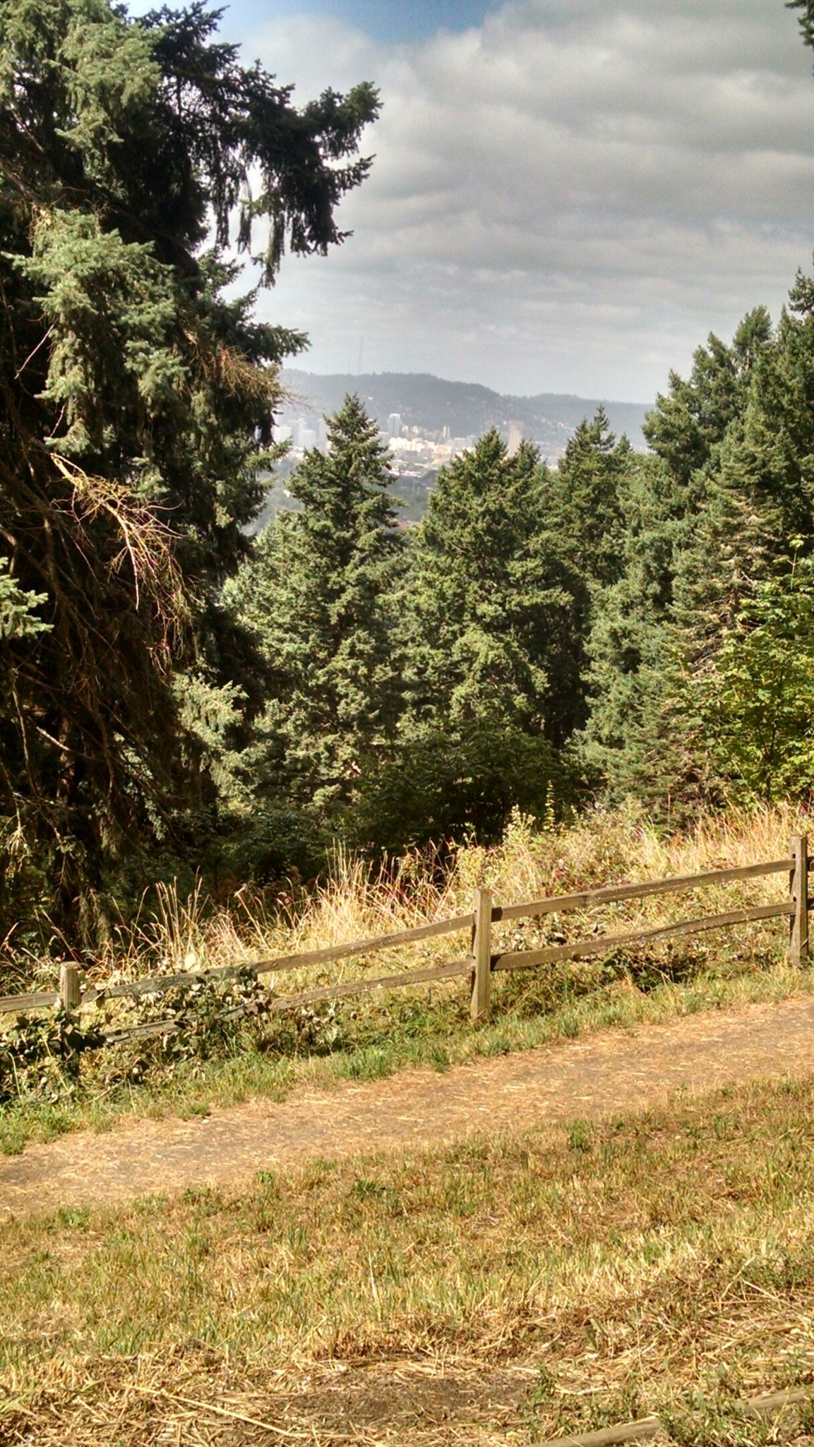 Evergreen trees frame a view of a distant city under a cloudy sky. - Mount Tabor – Mount Tabor loop from HK Cafe