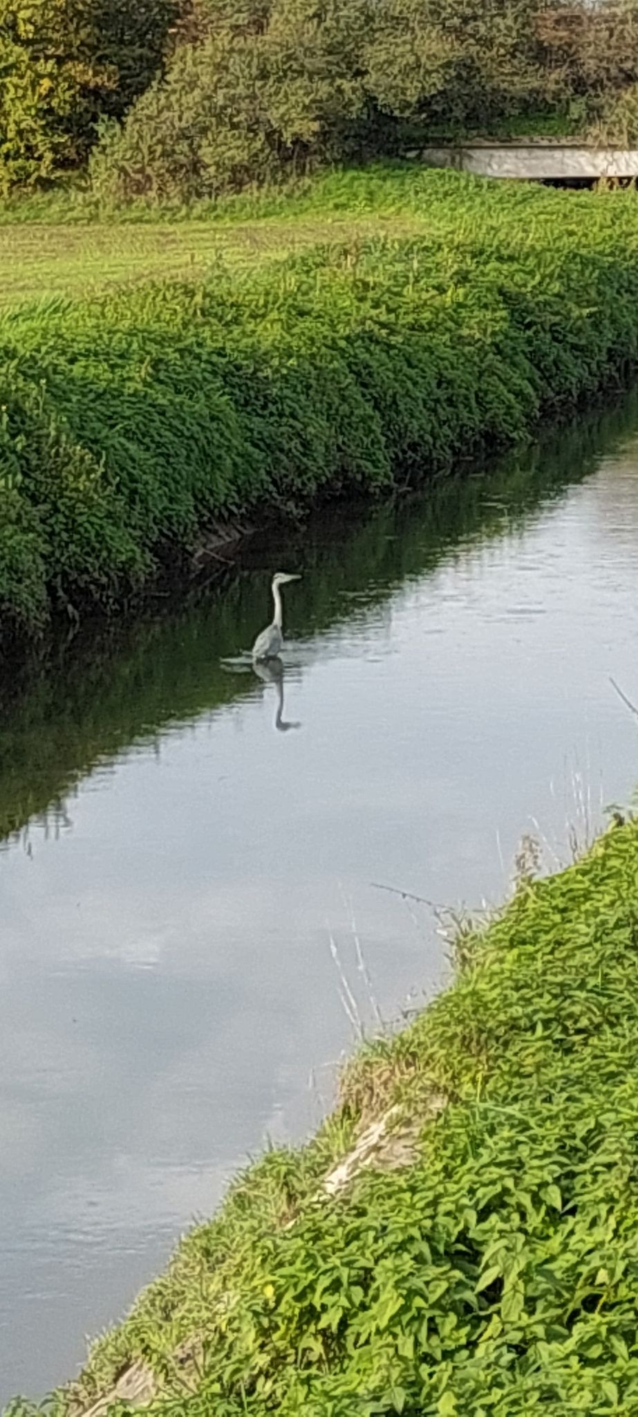 Reiherbad in der Leimbach