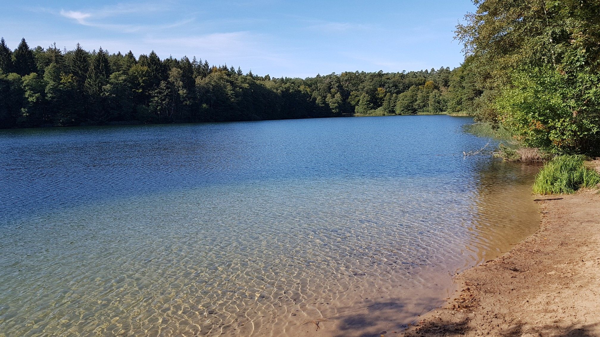 Krebssee