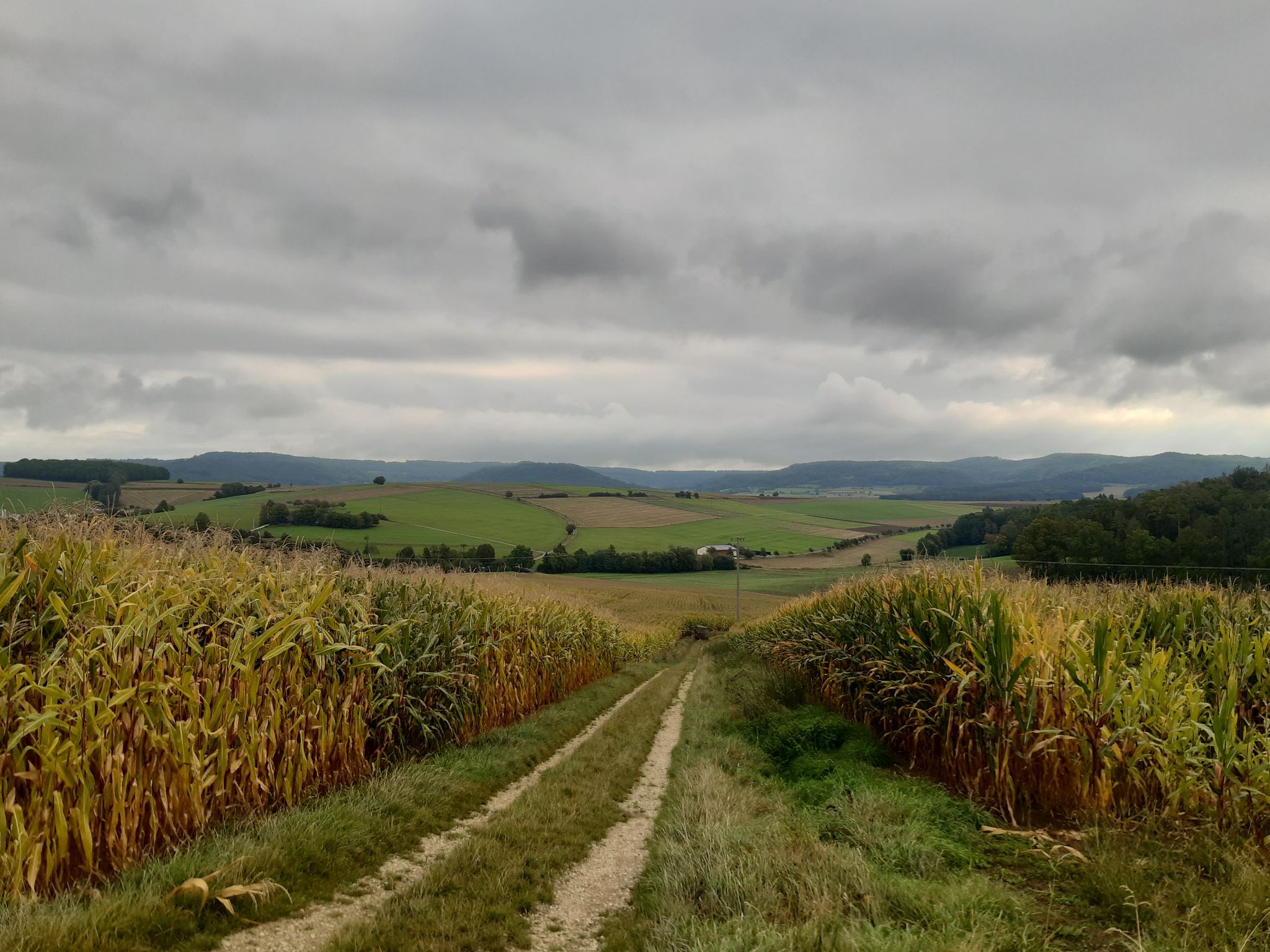Der Zwerchberg...dahinter rechts der Metzenberg