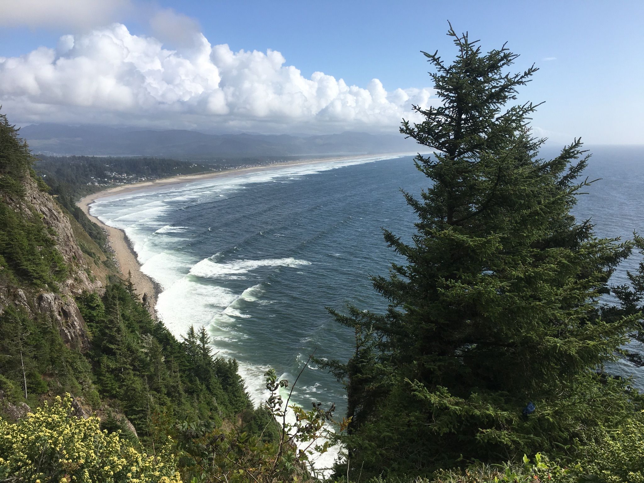 High view of a long beach, ocean, and forested cliffs under a sunny sky. - Necanicum Highway and Oregon Coast Loop