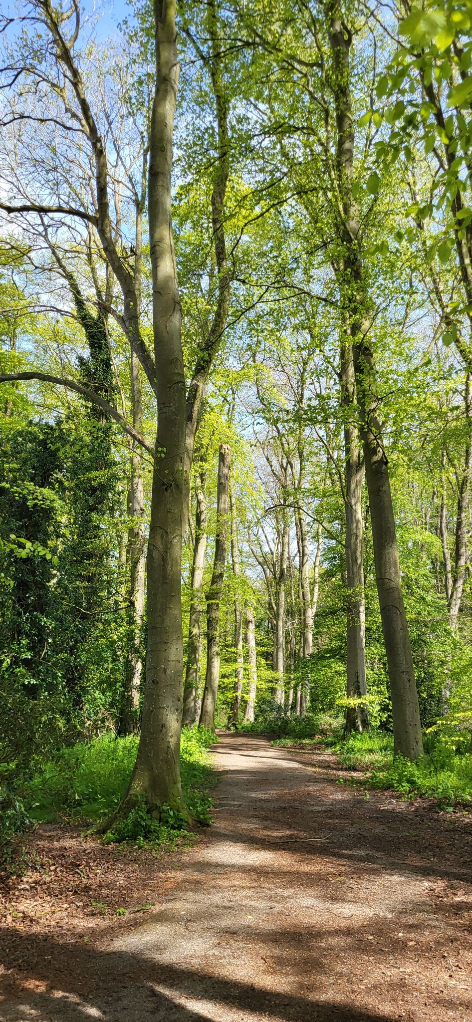 nice easy path