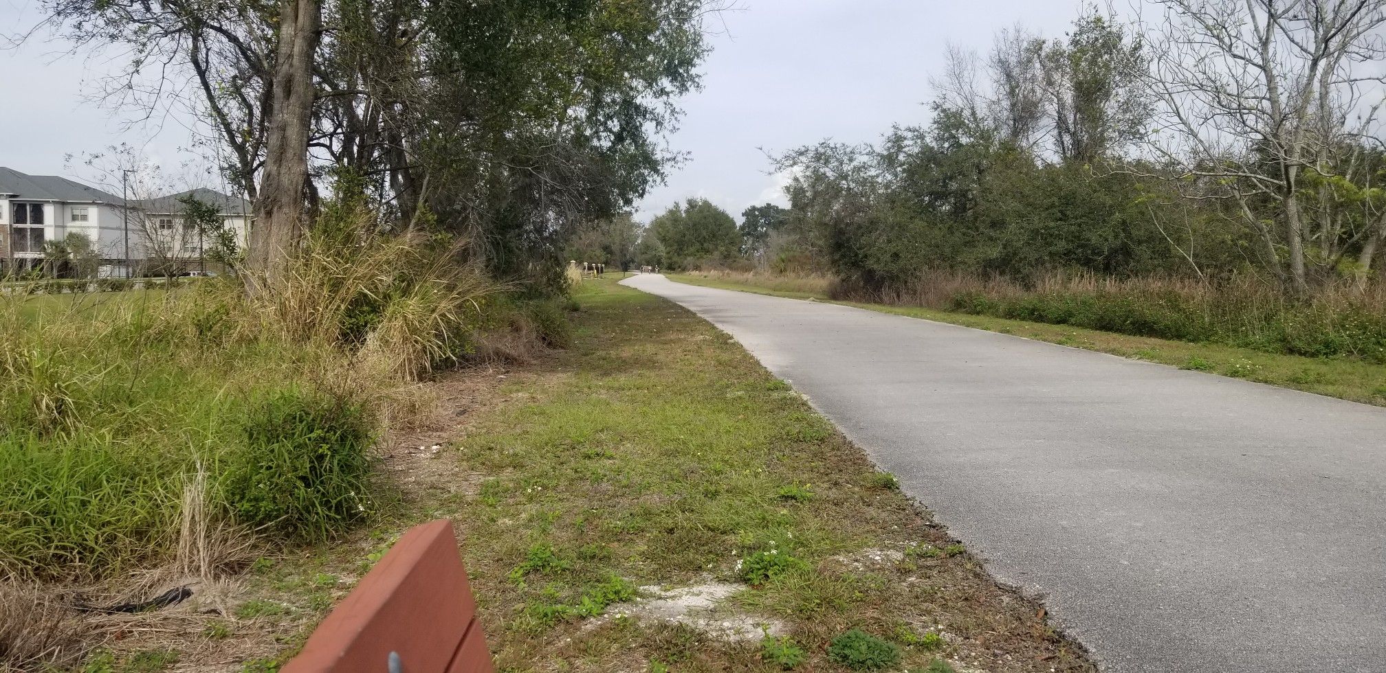 Halfway to Clarcona Horse Park. 