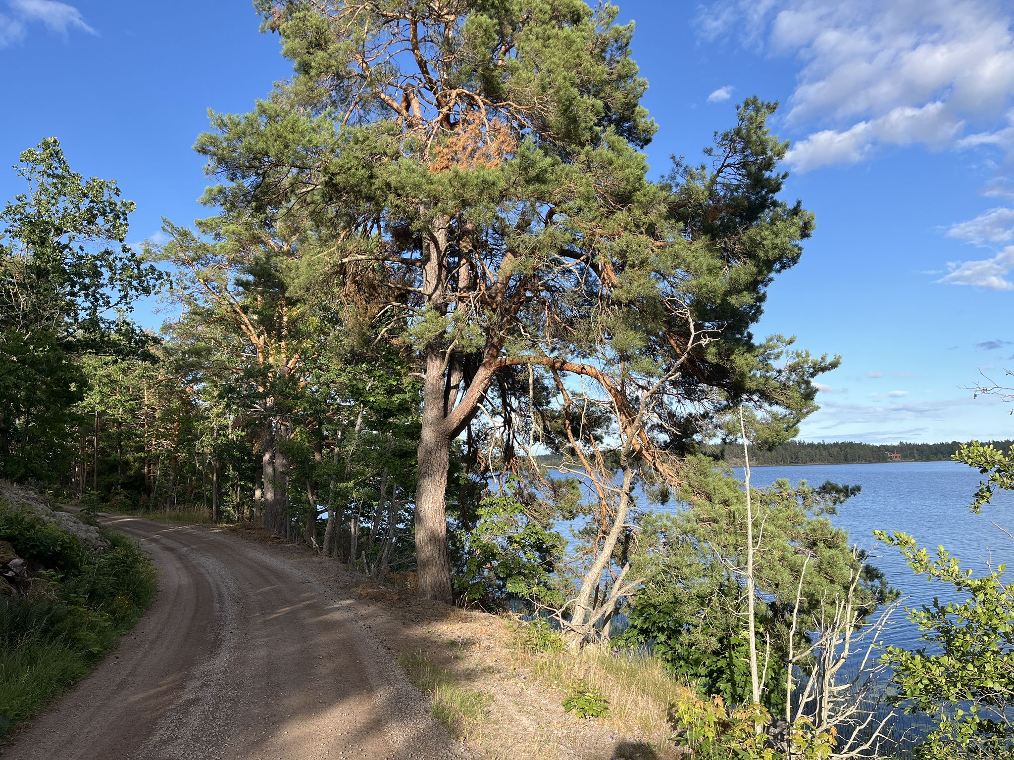 Slissjön