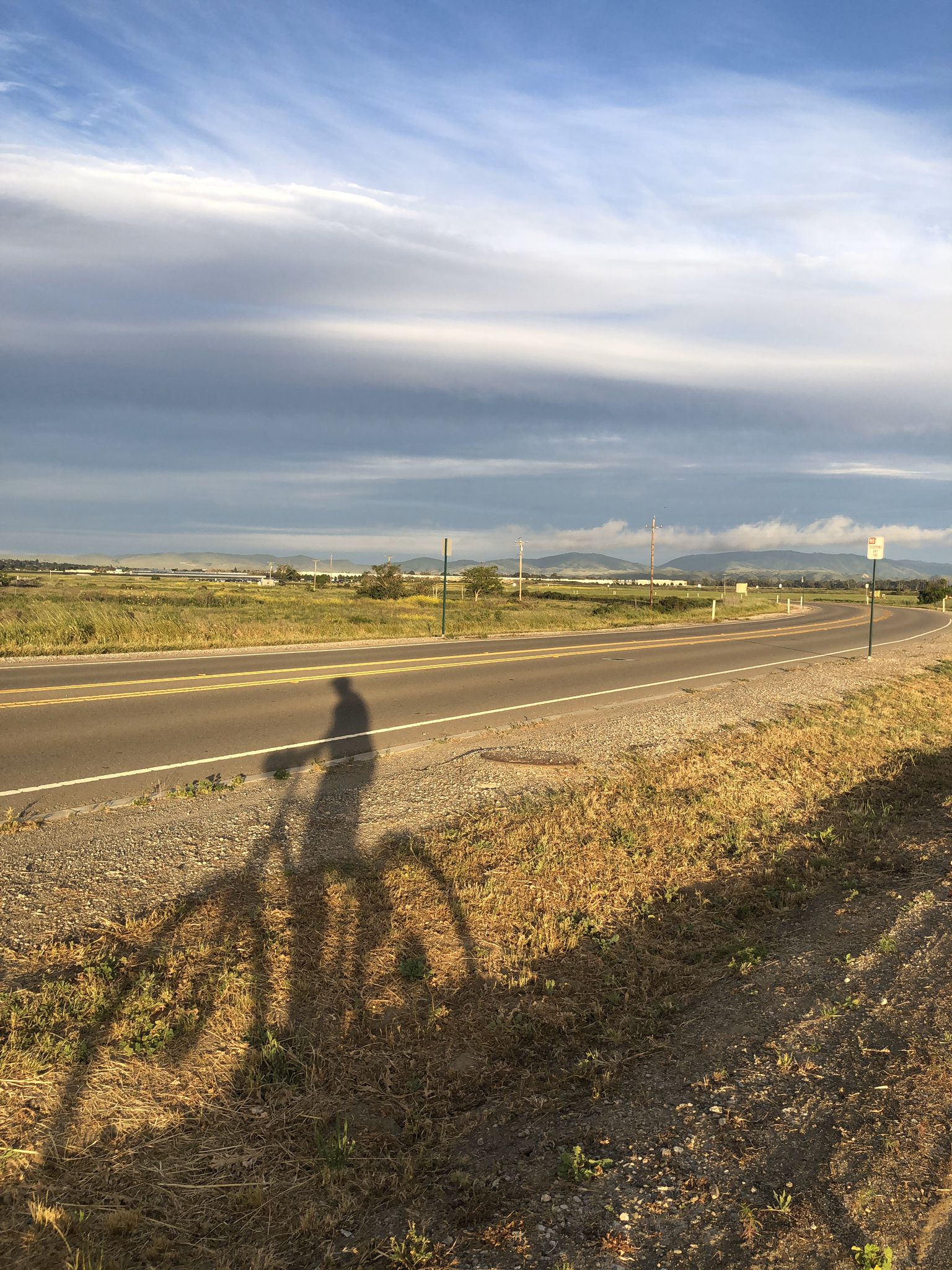 Long shadow of a person cycling on a road next to dry grass. - Sycamore Grove Park loop from Native Garden
