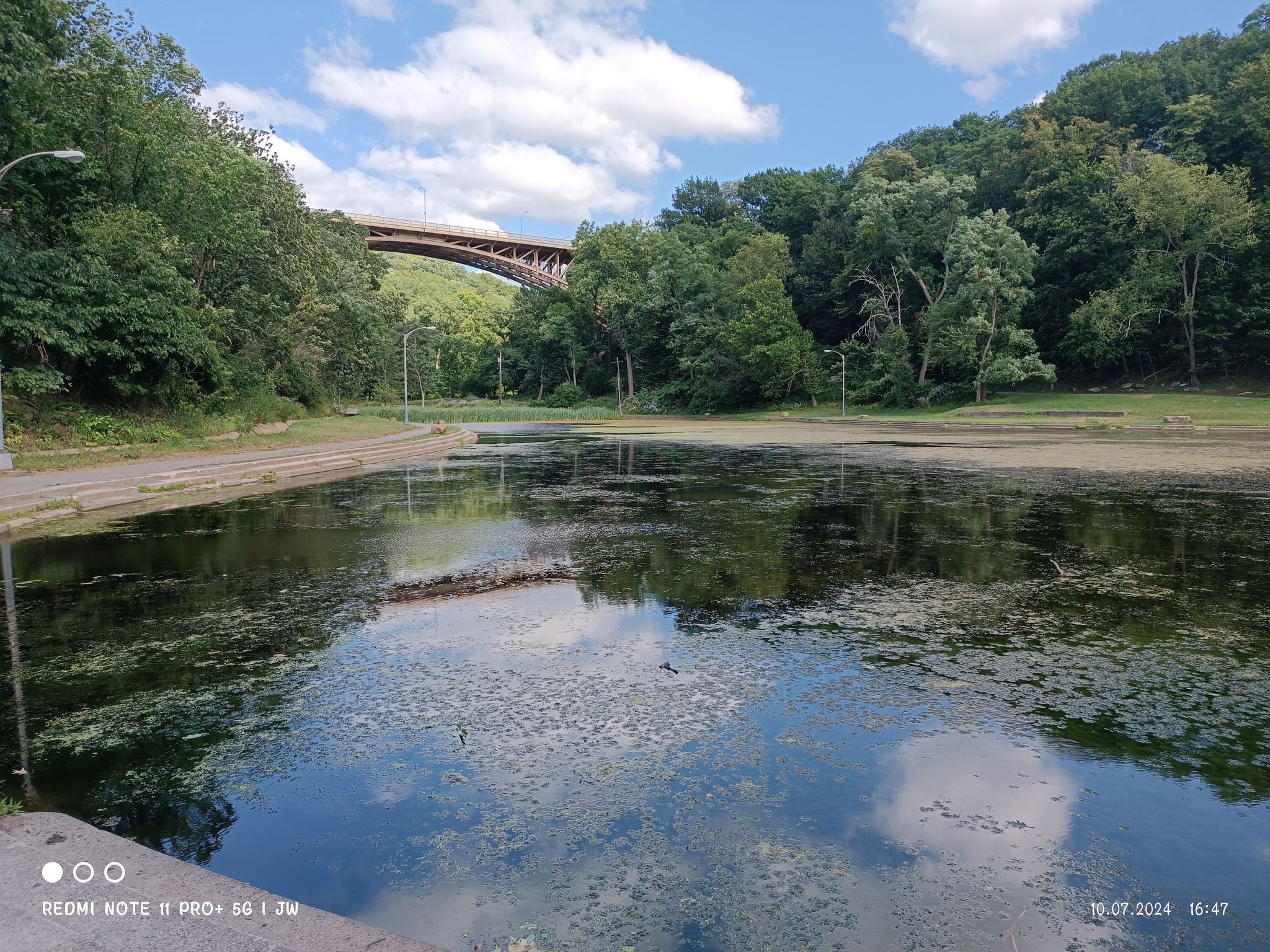 Pond with green surface reflecting sky, surrounded by trees and a distant bridge. - Panther Hollow Loop