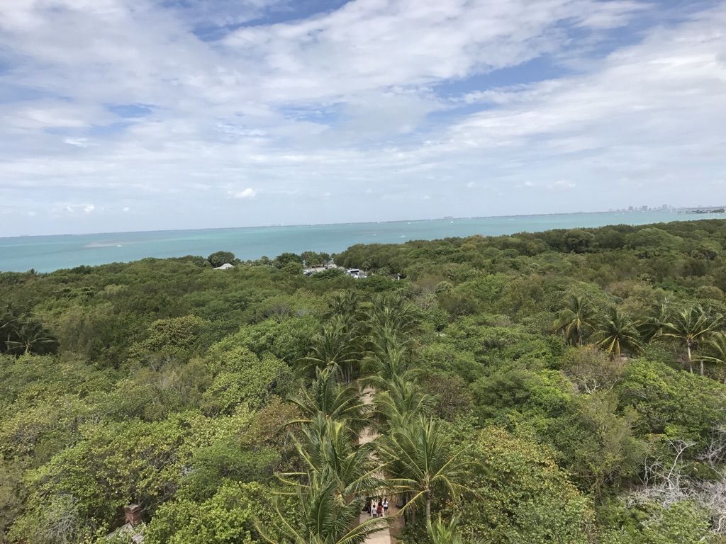 Aerial view of a vast green forest meeting the blue ocean horizon. - Robin's Birding Trail and Lighthouse Loop