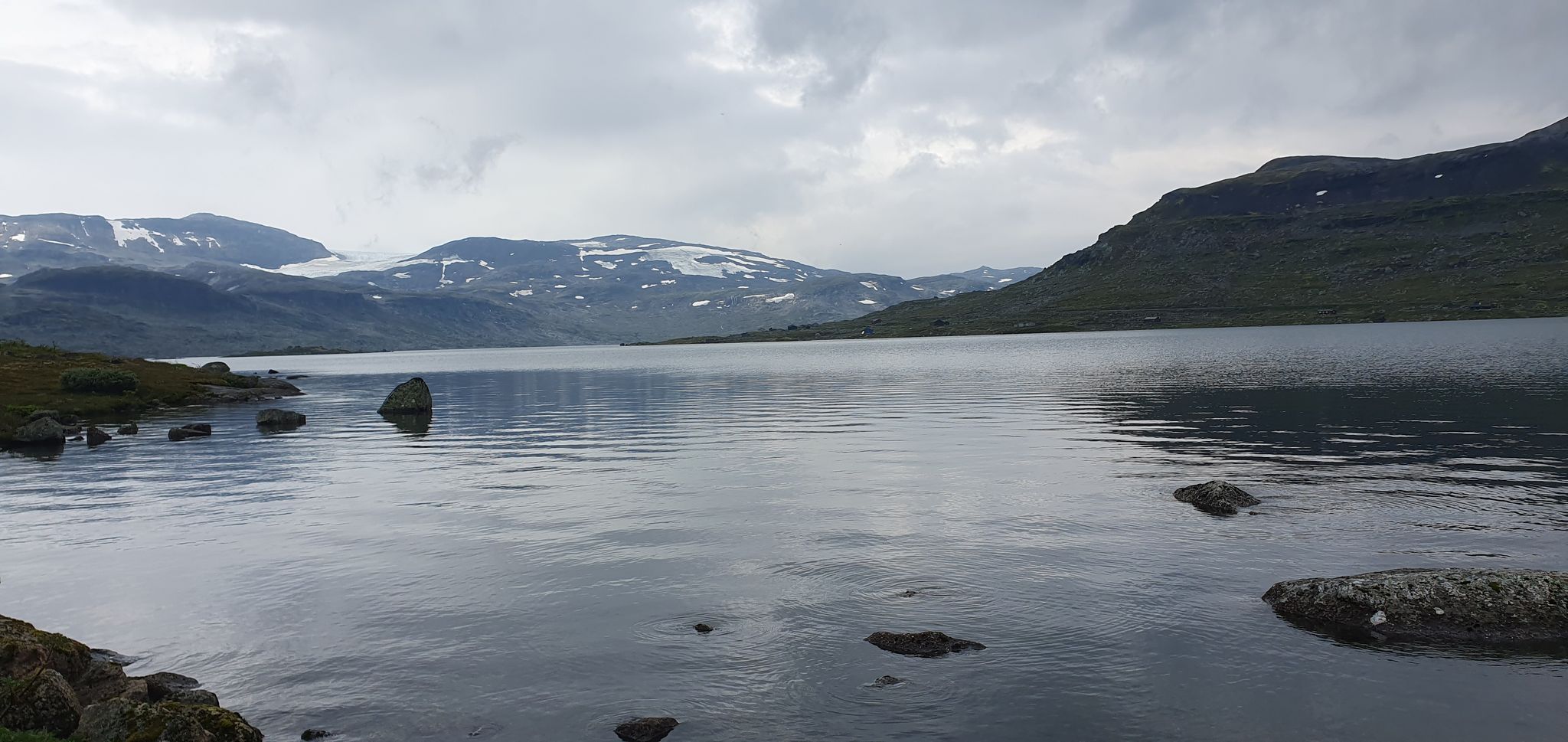 Finsesee