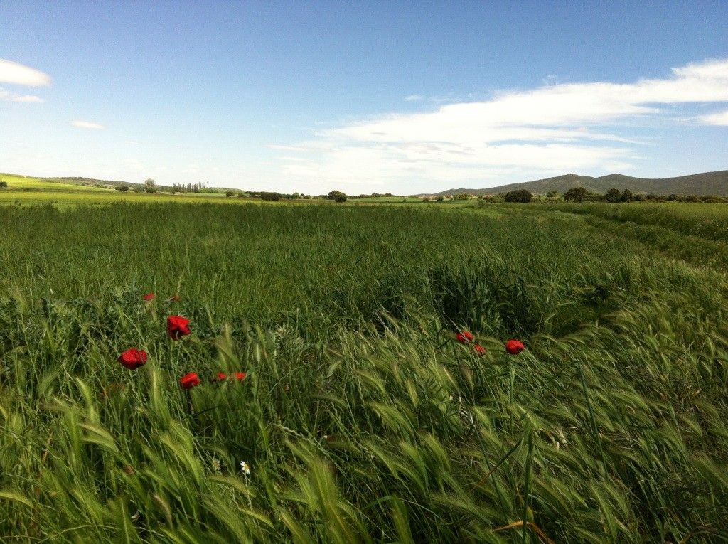 Salida de Urda