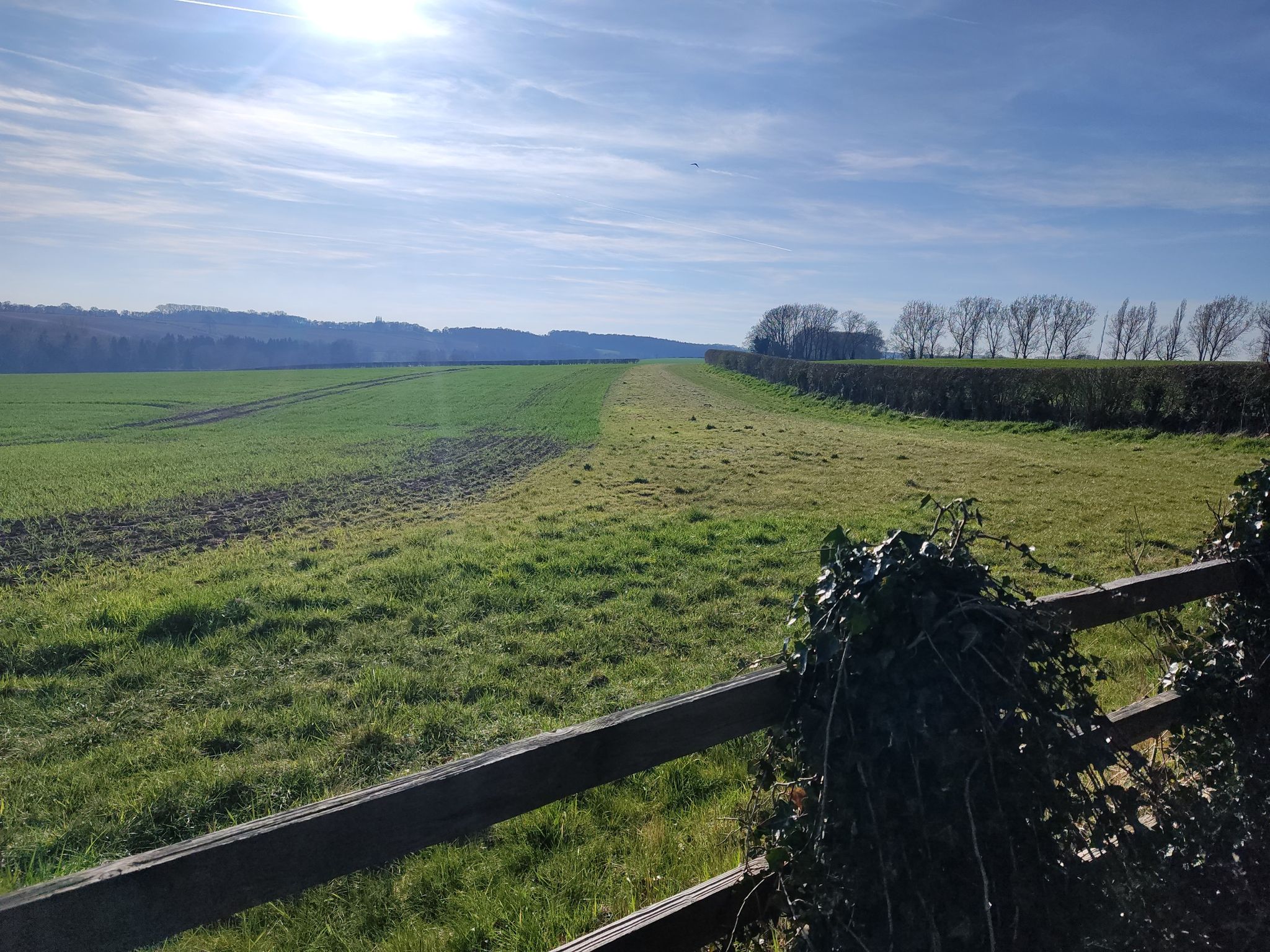 view thurgaton