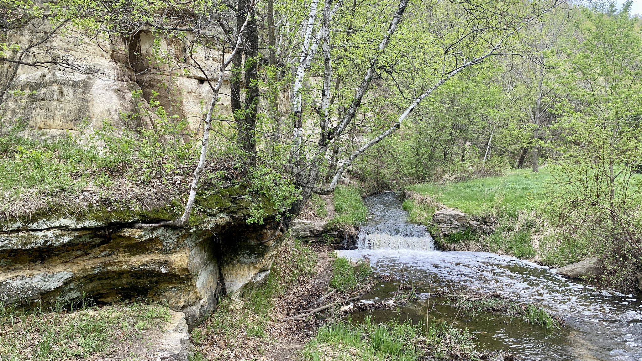 A small waterfall cascades into a stream next to mossy rocks and trees. - Mountainbike loop from Southeast