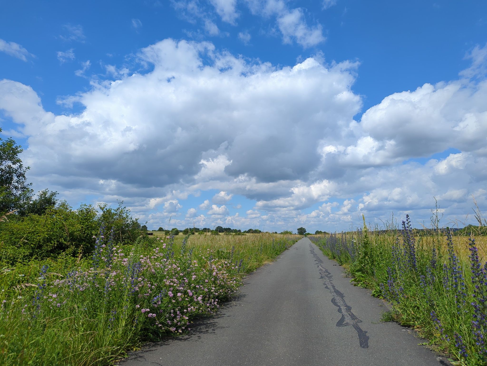 Bahntrassen-Radweg