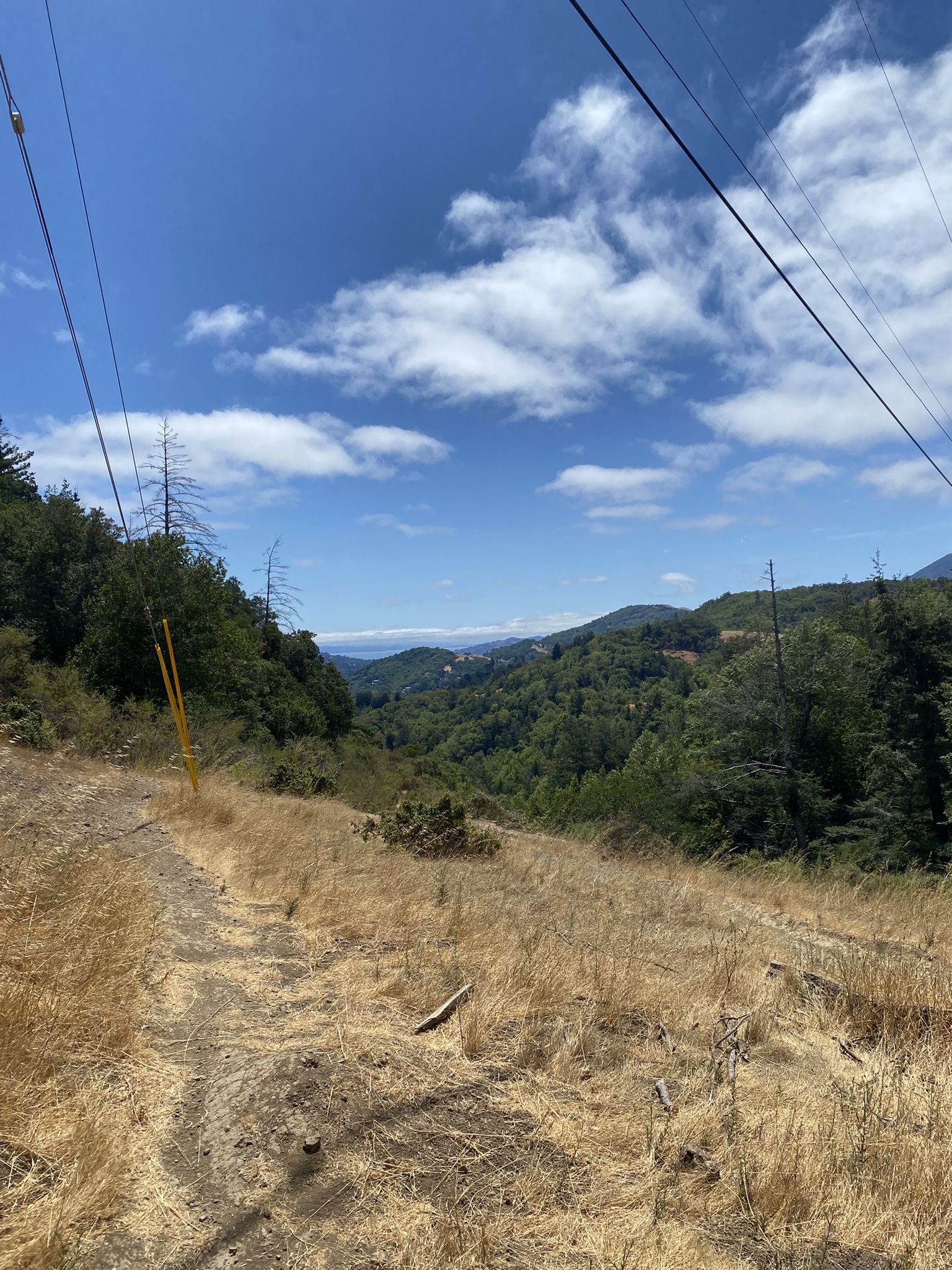 A dirt road with power lines overlooks a forested valley under a blue sky. - Camp Tamarancho Trailhead – B-17 crash site loop from Fairfax