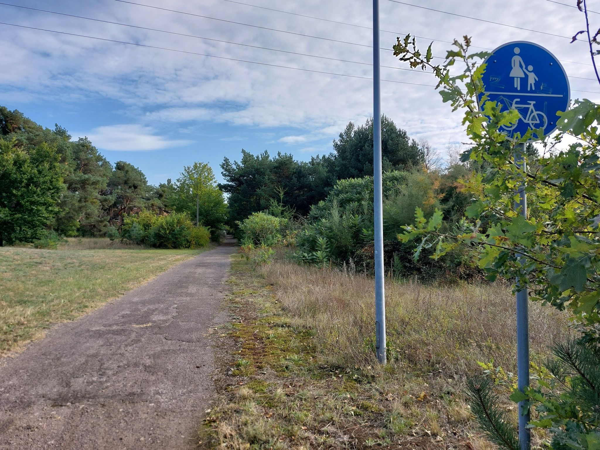 Bei besserer Oberfläche wäre das ein Top Radweg.
