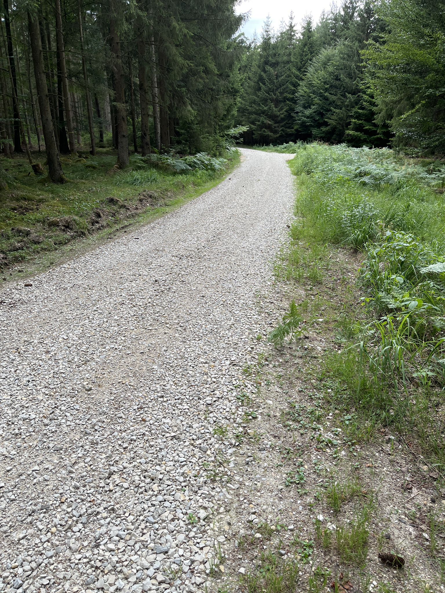 Wenig Gravelfreundlicher Schotter