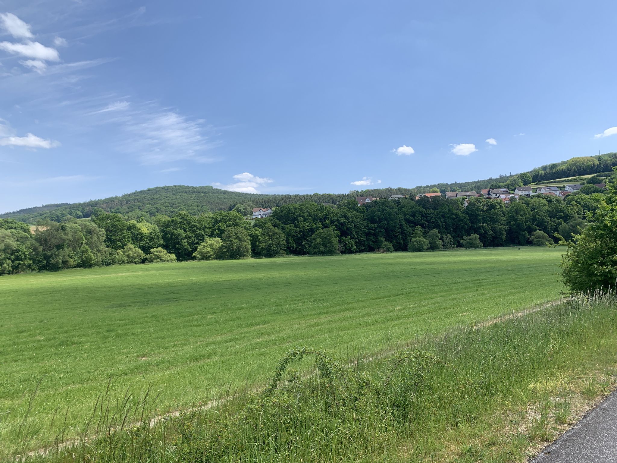 Sängersberg 494 Meter