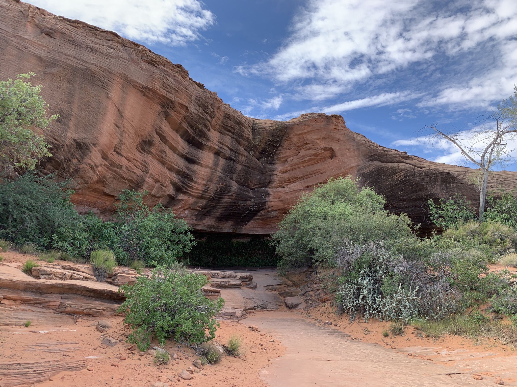 Red rock cliff with dark streaks, green bushes, a cave, under cloudy sky. - Hanging Gardens Trail