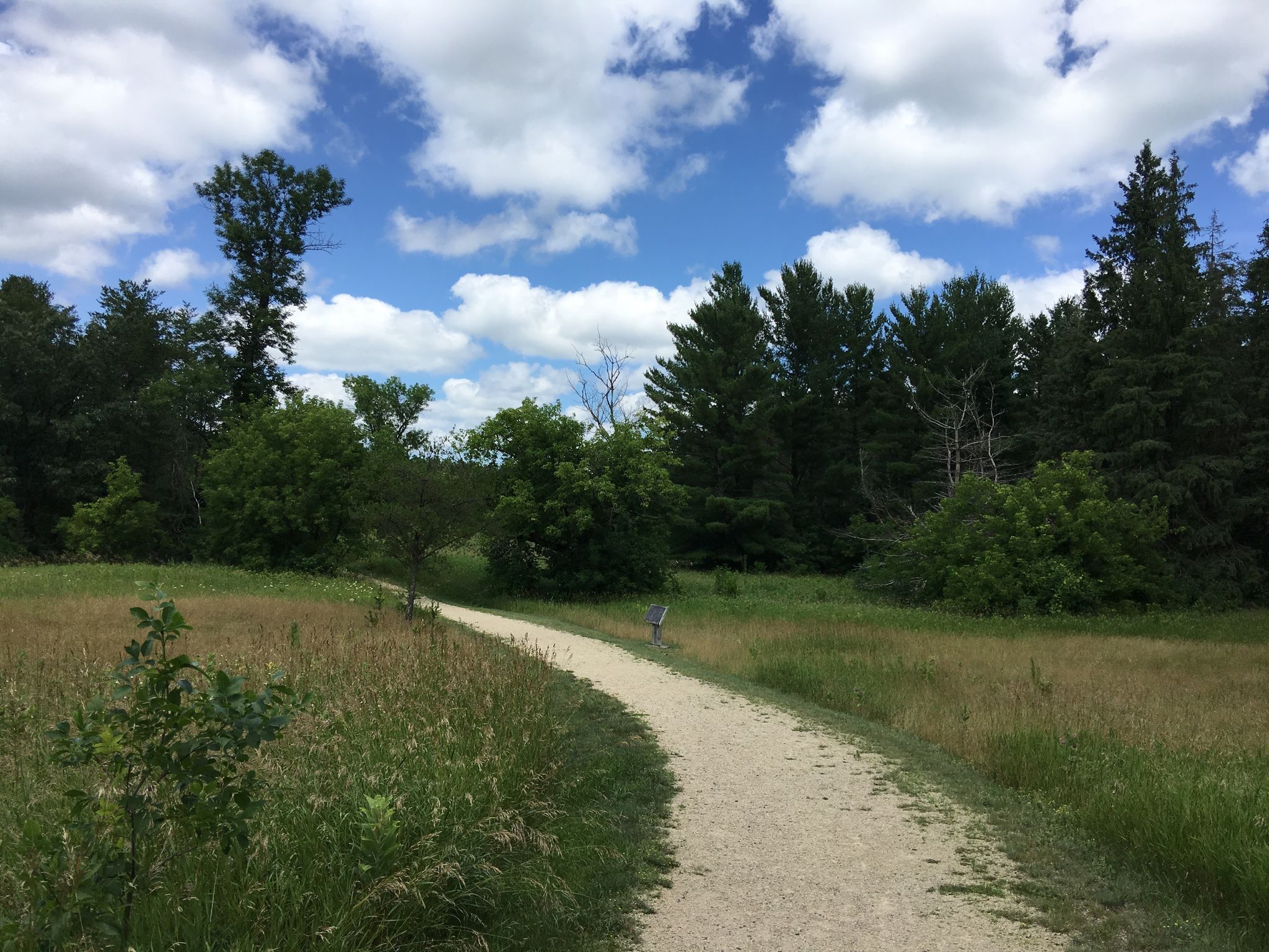 A winding gravel path through a grassy field leads towards distant trees under a cloudy sky. - Crow Wing Confluence Trail