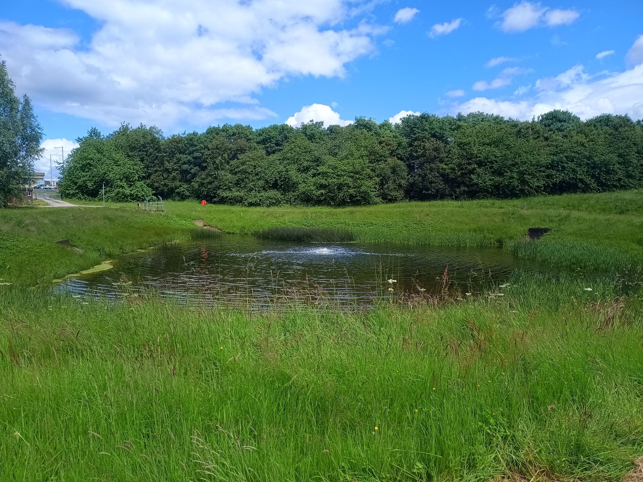 bubbling pond