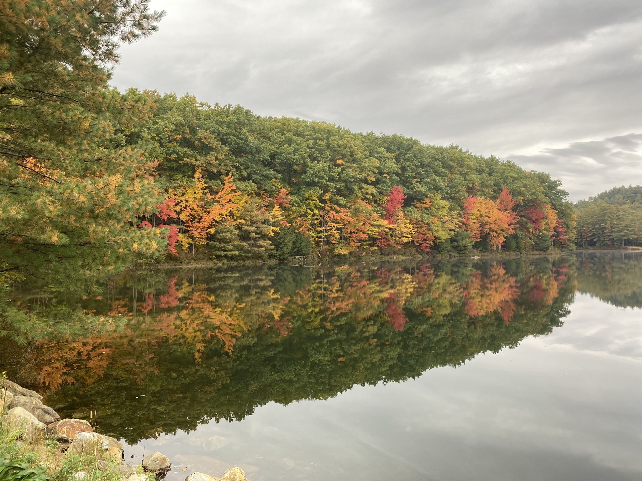 Colorful autumn trees reflecting in a calm lake under a cloudy, overcast sky. - Goose Pond - nice view of the lake loop from Keene