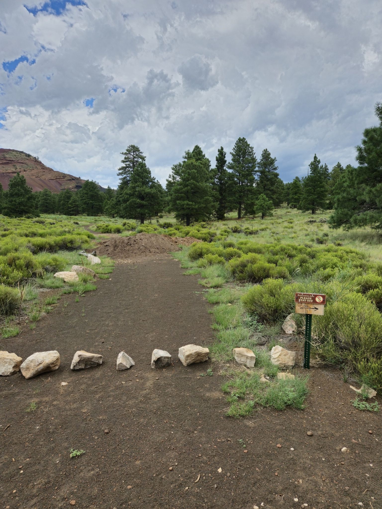 Dirt path with rocks and a sign, surrounded by green bushes and trees. - Petroglyph Overlook loop from Wildcat Hill