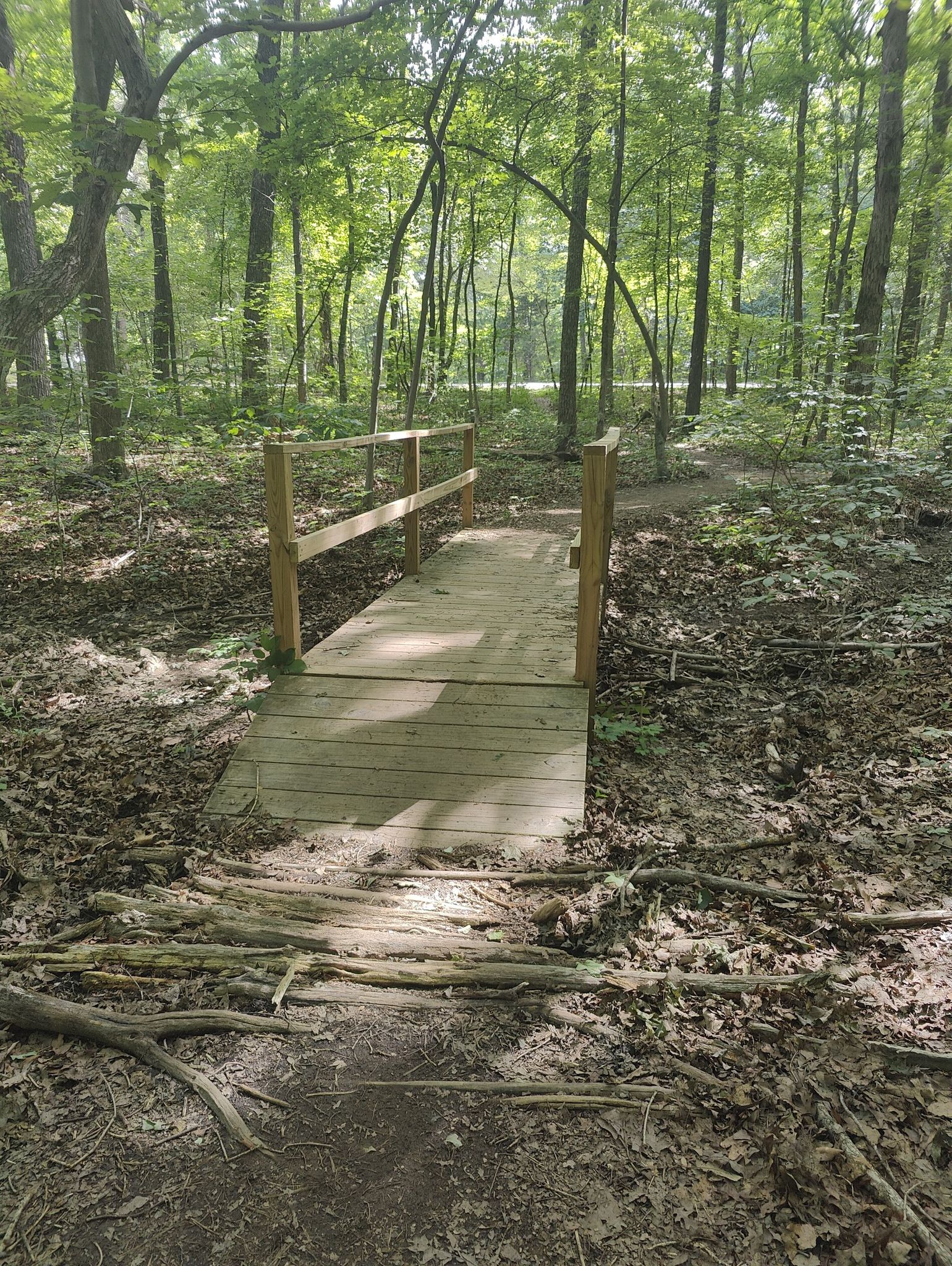 A small wooden footbridge crosses a shaded path in a dense green forest. - Monte Sano Fire Tower loop from Monte Sano State Park