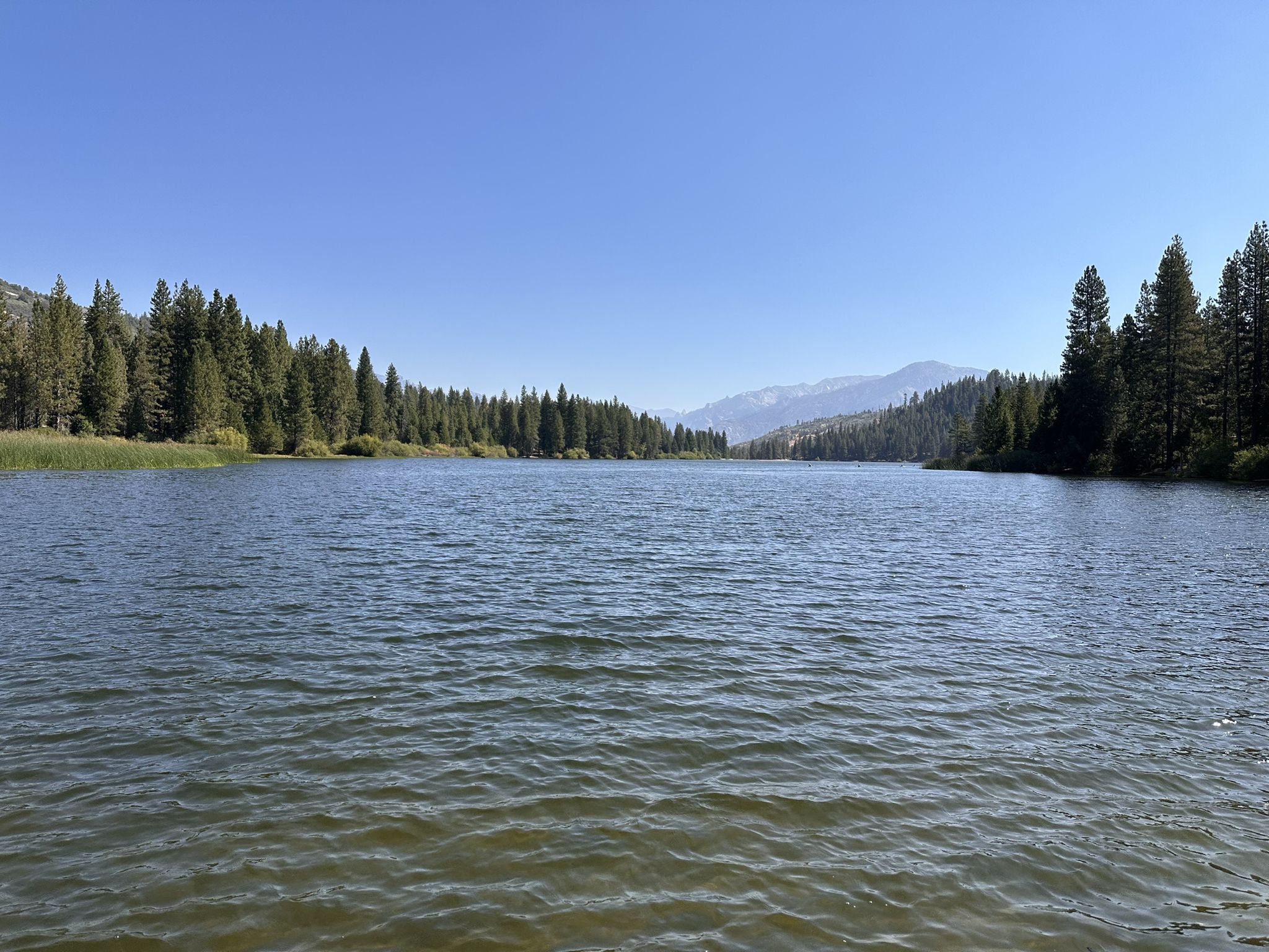Calm lake surrounded by dense pine forests and distant mountains under a bright sky. - Hume Lake to Grizzly Falls via Kings Canyon Scenic Byway