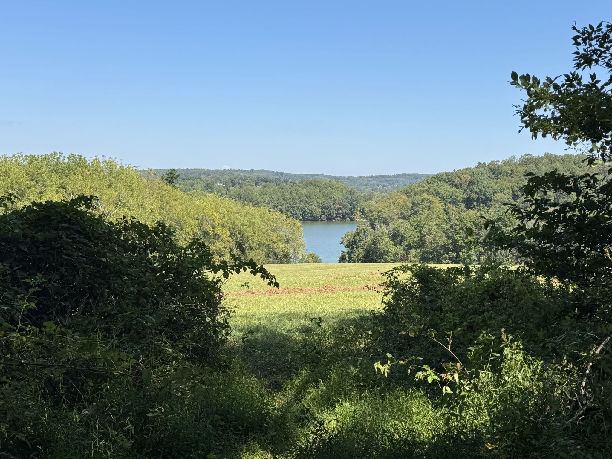 Overlook of a calm lake, green field, and lush forest on a clear day. - Marsh Creek Loop