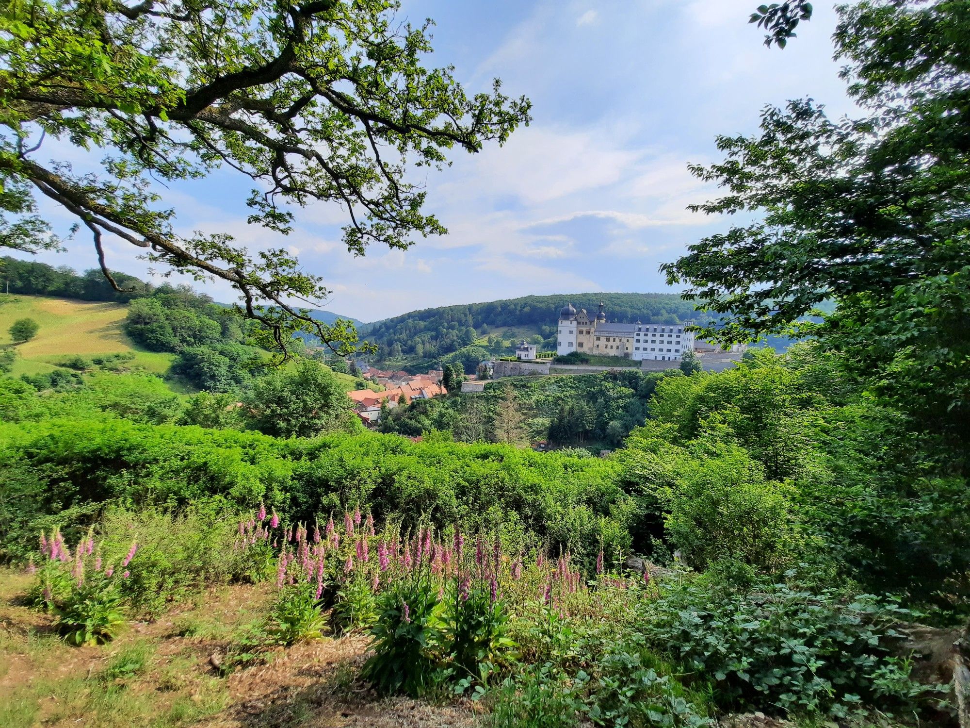 Stolberg von oben