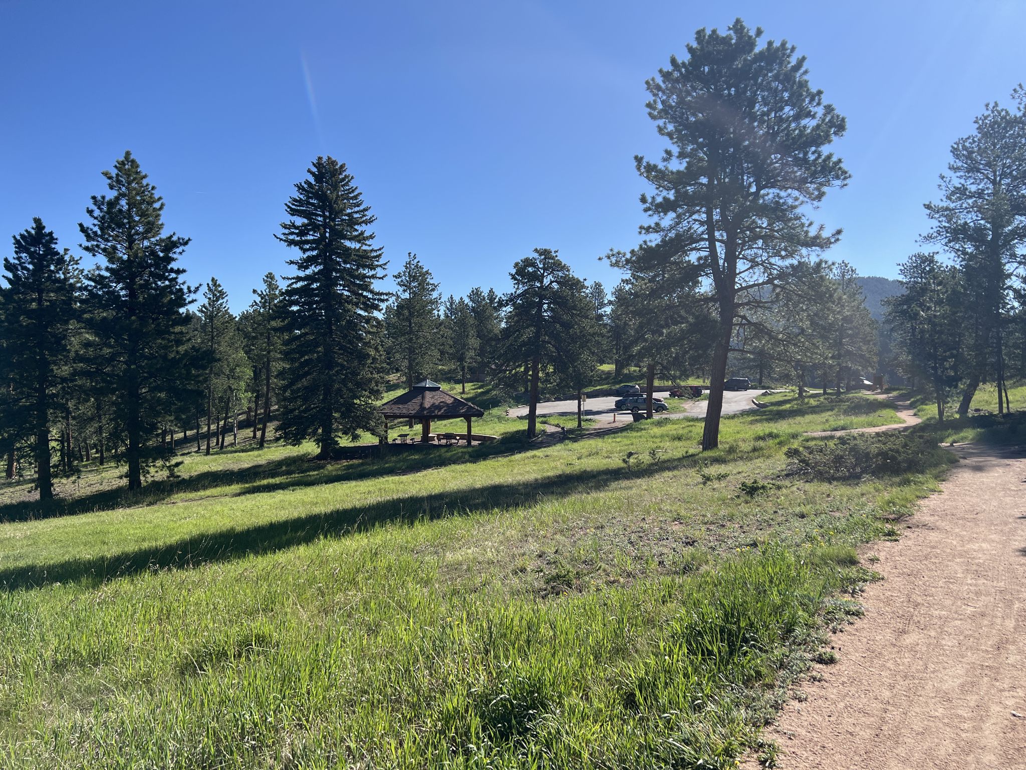 Sunny day over a grassy field with pine trees, a gazebo, and a dirt path. - Shadow Pine Loop