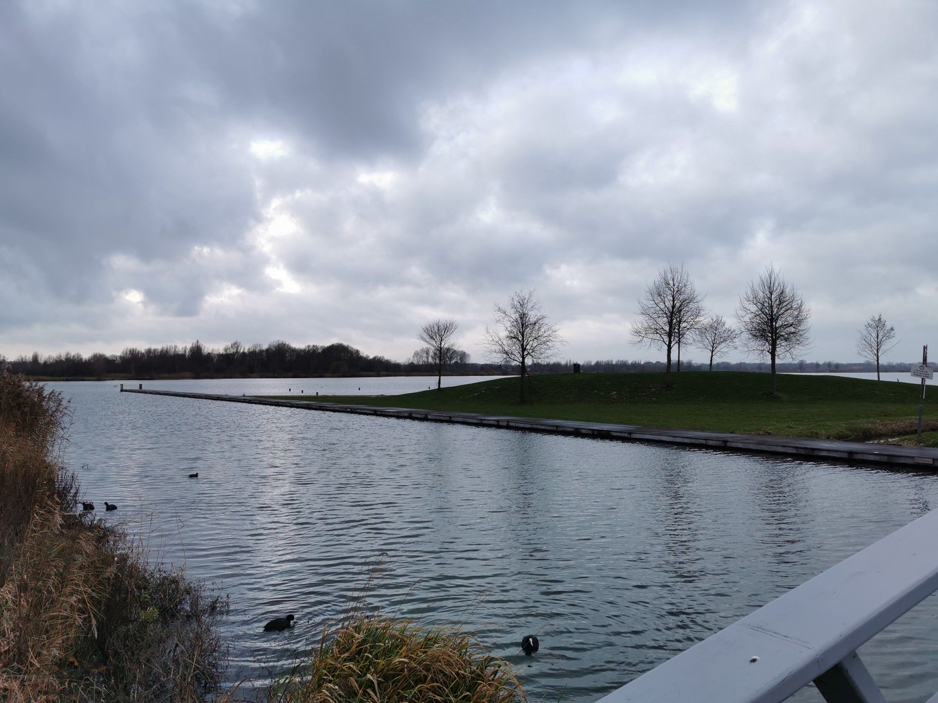 Haarrijnseplas