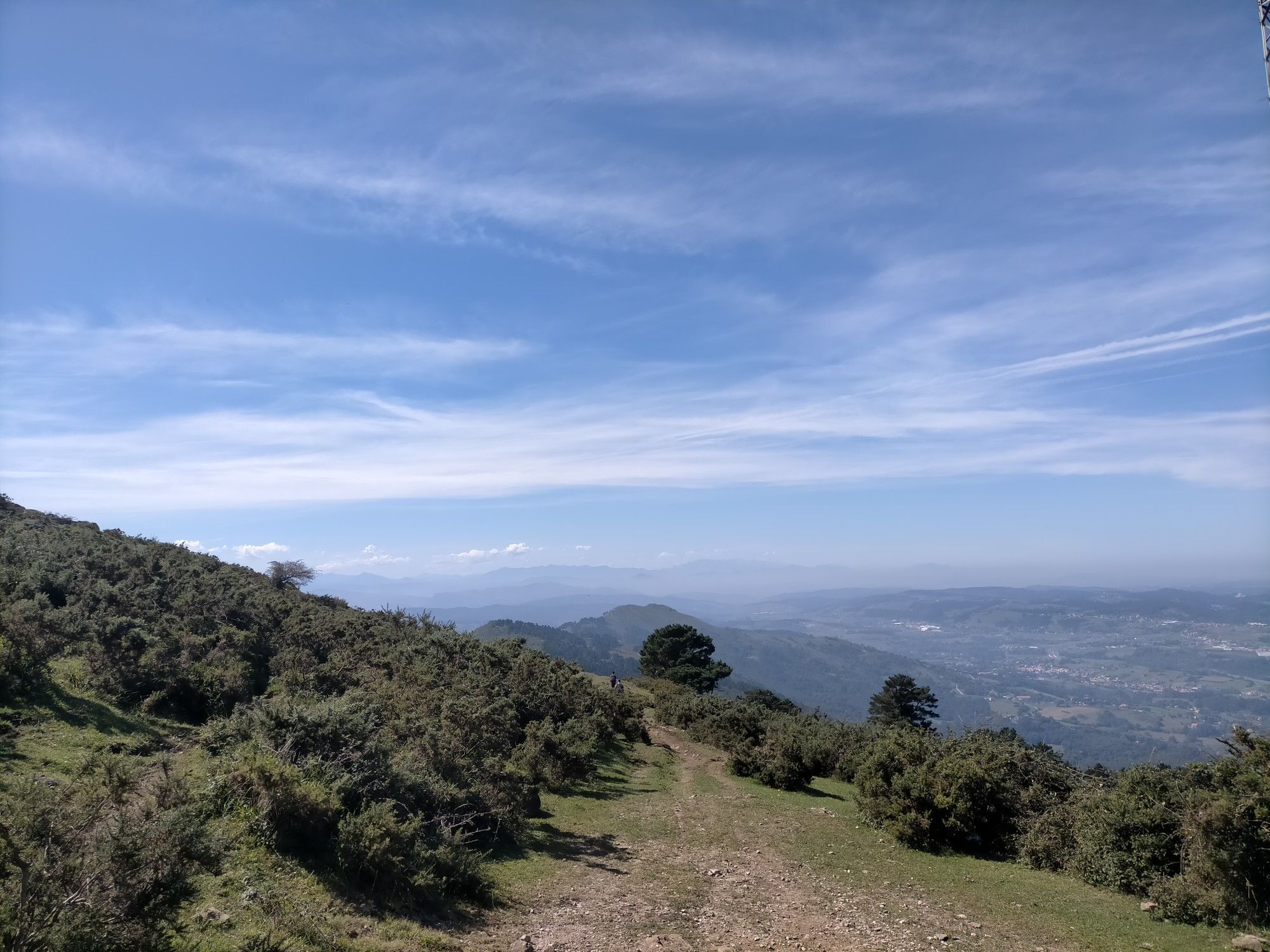 Vistas