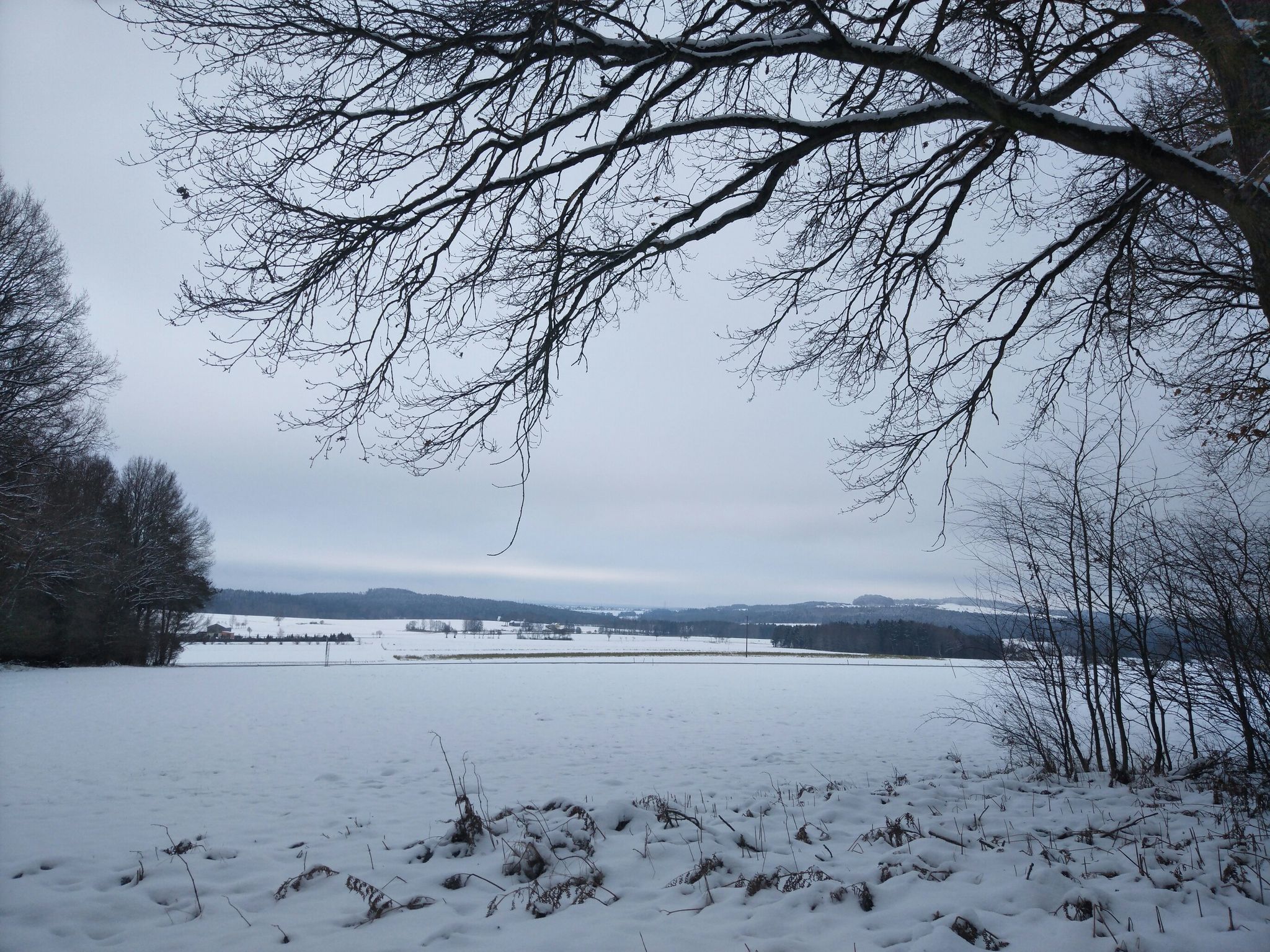 Blick nach Mitterteich