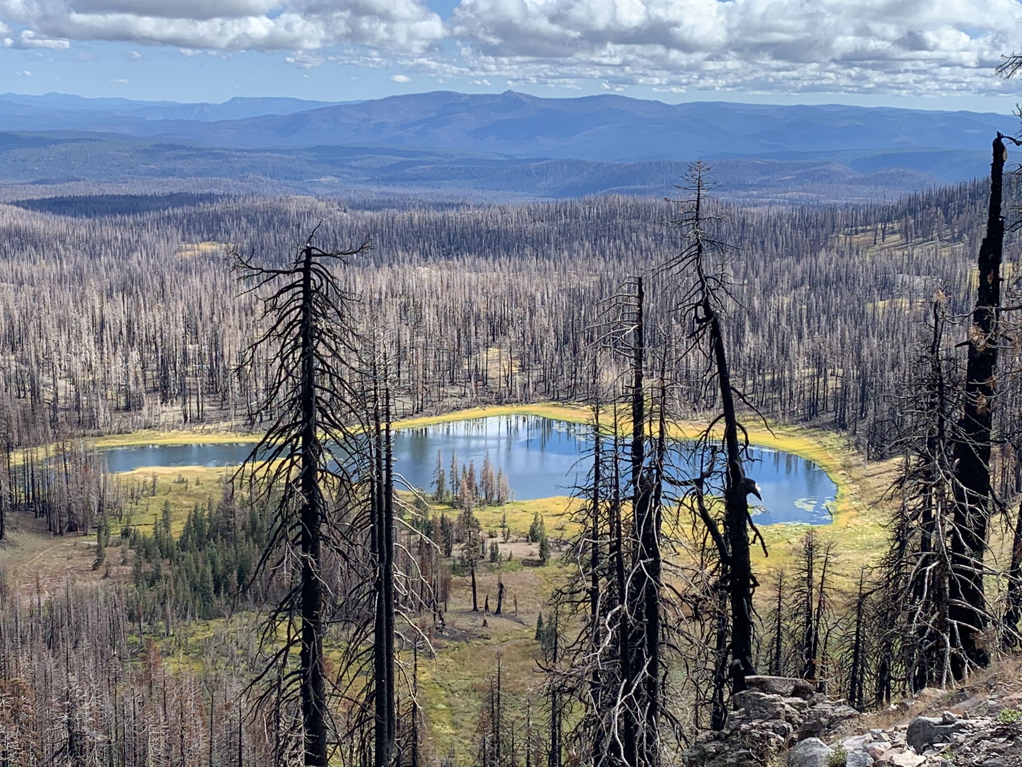 Elevated view of a blue lake surrounded by many burnt trees. - Bumpass Hell from Southwest Campground