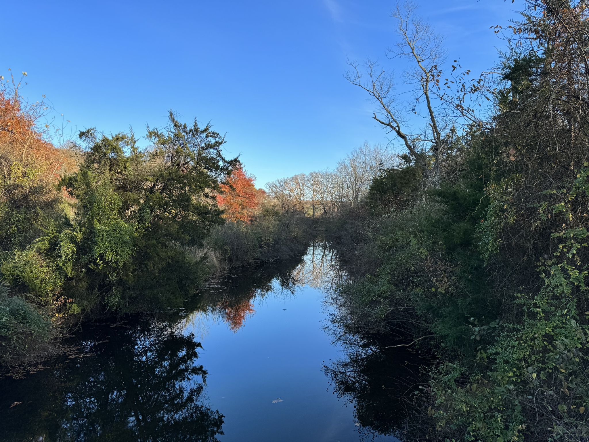 Narrow river surrounded by dense green and autumn trees under a blue sky. - Swamp Creek Road – White's Mill Preservation Area loop from Lansdale Septa