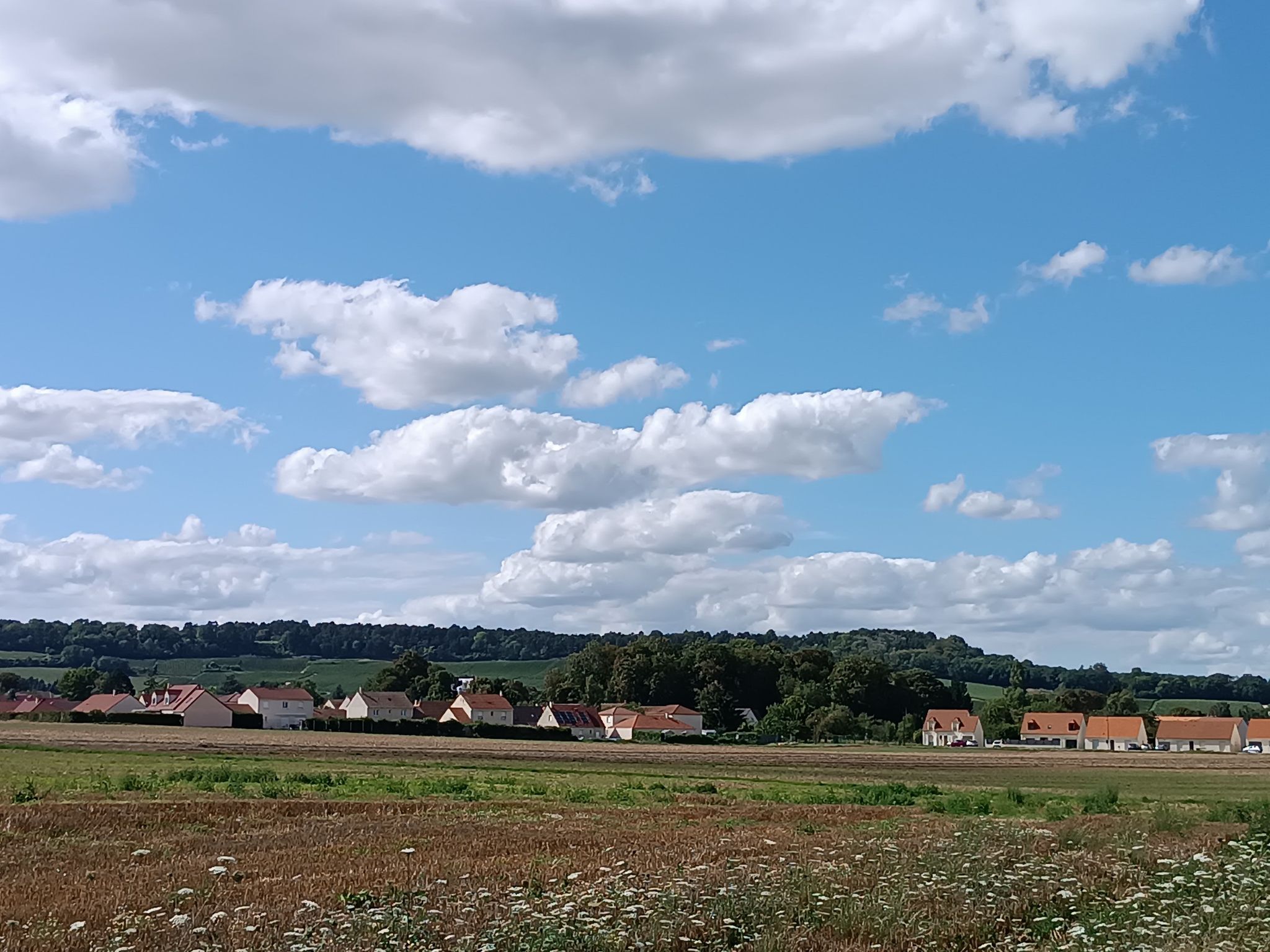 hermonville